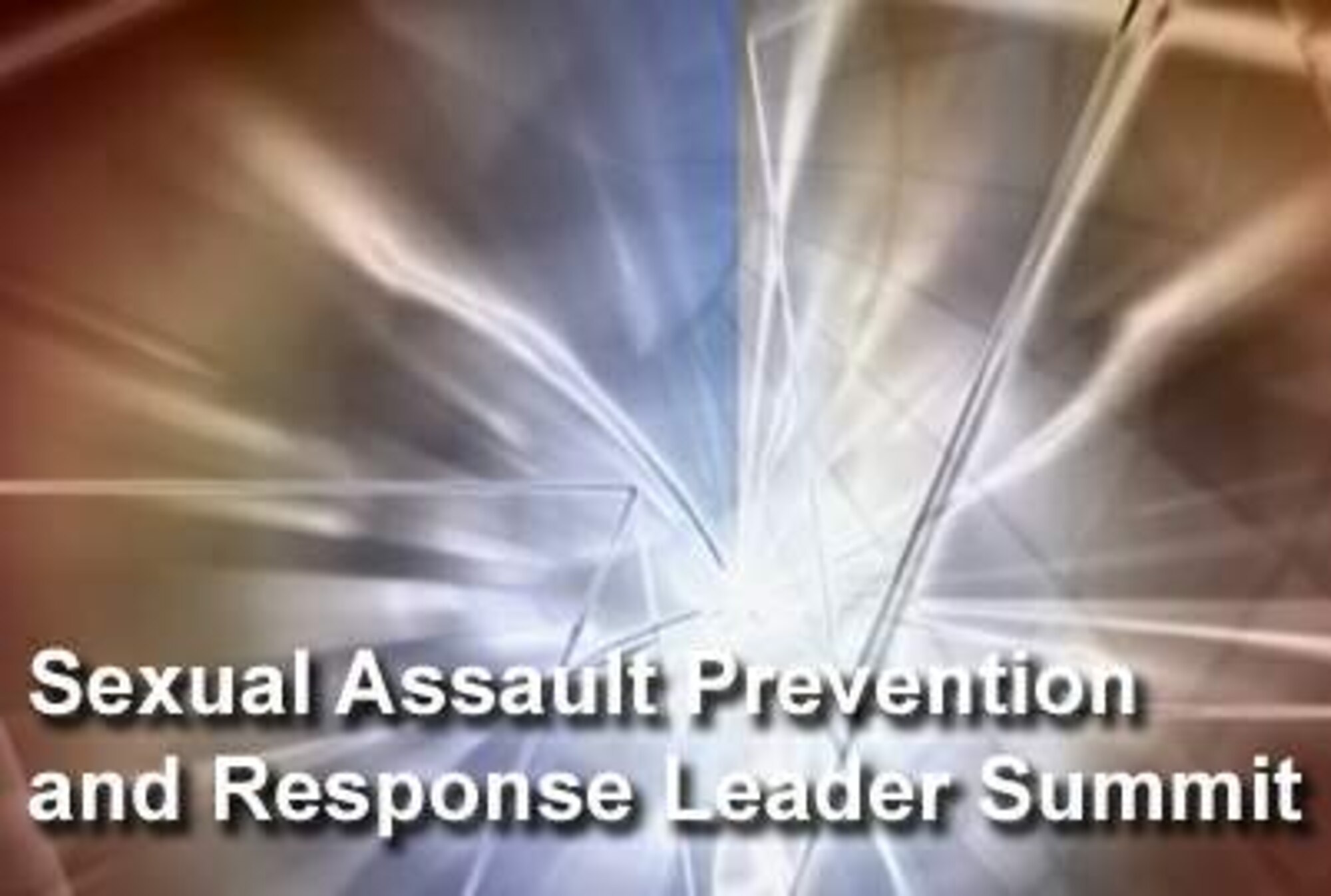 To reinforce the service's commitment to protect Airmen and maintain a safe environment, senior leaders gathered for the 2009 Air Force Sexual Assault Prevention and Response Leader Summit Nov. 16, 2009, in Washington, D.C. (U.S. Air Force graphic)