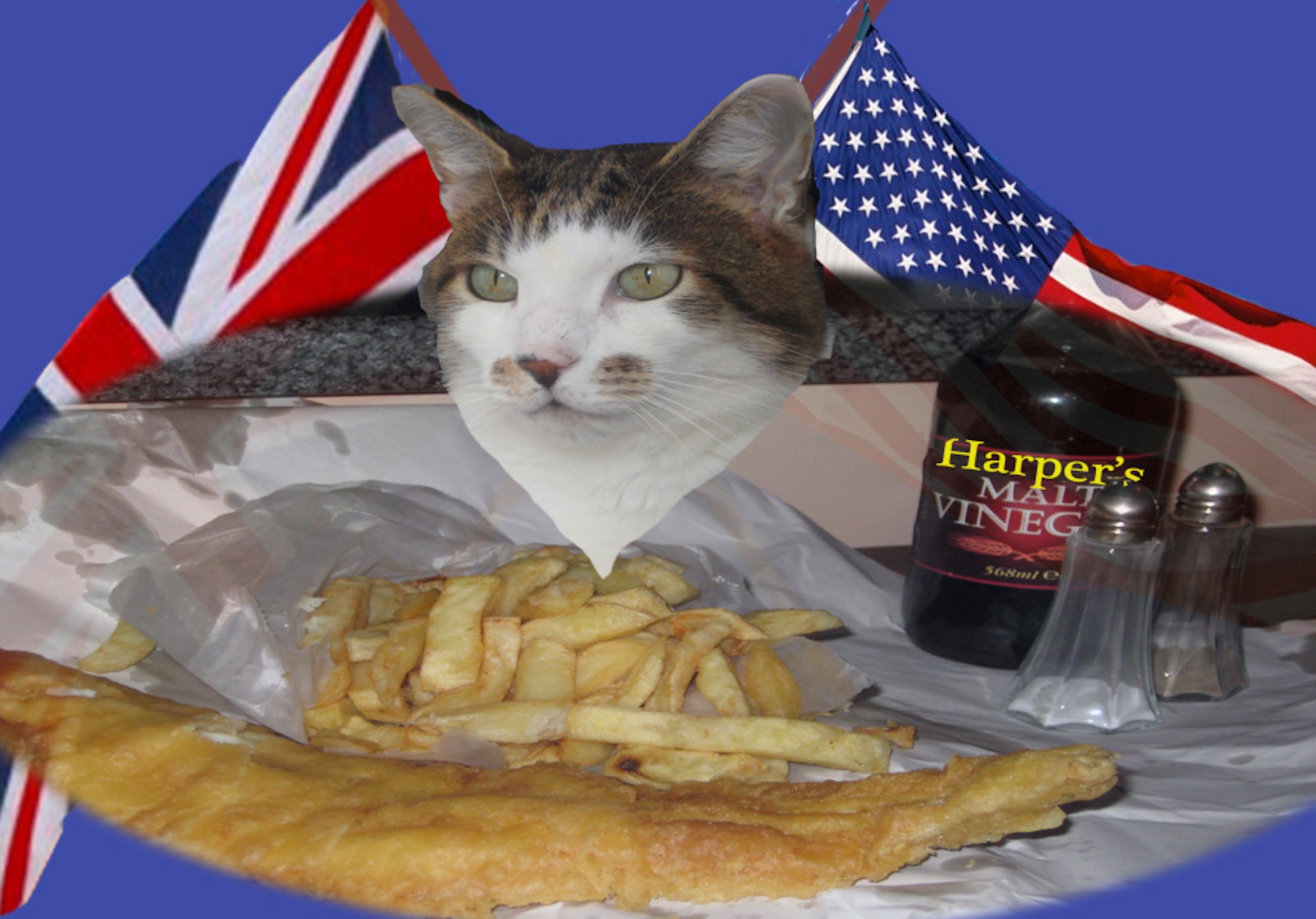Fish and chips remain the UK’s favourite in spite of the advent of the mighty burger. According to the National Federation of Fish Friers, in 1995, the British consumed an astonishing 300 million servings of fish and chips – that equates to six servings for every man woman and child in the country. The record for the largest number of portions sold in one day by an independent fish and chip shop is over 4,000. 
Salt and vinegar are the traditional condiments to enhance the flavour.

Feel free to send British Billy (AKA Billy the Cat) any questions, and when he isn’t sleeping or hunting, he’ll try and put a few thoughts together to help you out.
