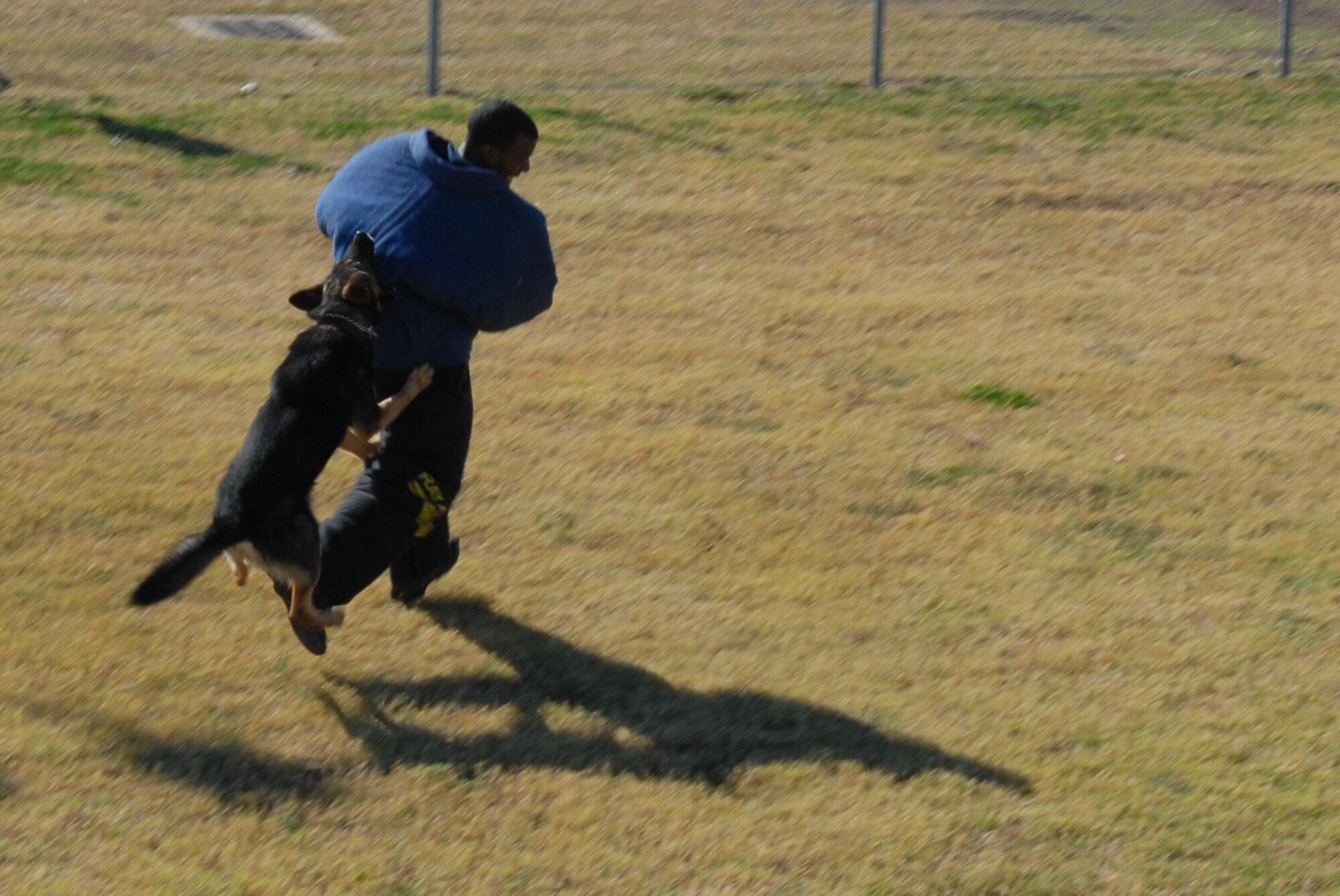 GOODFELLOW AIR FORCE BASE, Texas -- Spidla, 17th Security Forces Squadron military working dog, attacks Senior Airman Vernon Boyd, 17th SFS, during a demonstration for Community Appreciation Day, Nov. 21, 2009. Other events during the day included firefighting exercises, a live demonstration of military operations in urban terrain, and a bus tour of the base. (U.S. Air Force photo/Staff Sgt. Laura R. McFarlane)
