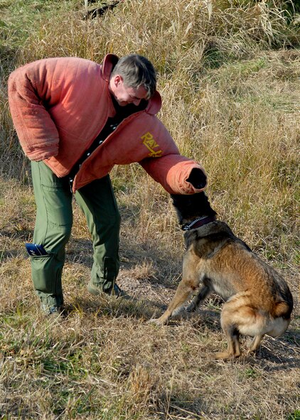 Maj. Gen. Jan-Marc Jouas ,Pacific Air Forces director of operations, plans, requirements and programs, meets military working dog Steffi Nov. 23 at Kunsan Air Base, Republic of Korea.  General Jouas joined Gen. Gary North, Pacific Air Forces commander, and four members of the Air Force Civilian Advisory Council on a tour of Kunsan and Osan Air Bases, ROK, Nov. 21-26 to celebrate Thanksgiving with the Airmen and to give the civic leaders a better understanding of life for Airmen who are assigned to the ROK. (U.S. Air Force photo/Tech. Sgt. Jerome S. Tayborn)     