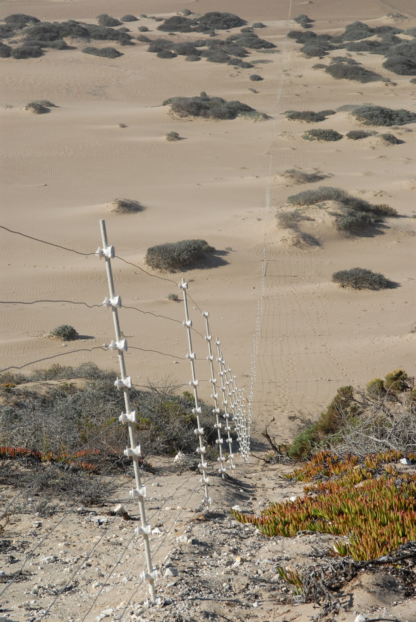VANDENBERG AIR FORCE BASE, Calif. – The Purisima Point Least Tern Management Team created a fence line to protect the California Least Tern, an endangered species. The team earned the 2009 Coastal America Partnership Award for their ecosystem-based management approach in protecting the California Least Tern off of Vandenberg’s coast. (U.S. Air Force photo/Airman 1st Class Angelina Drake)
