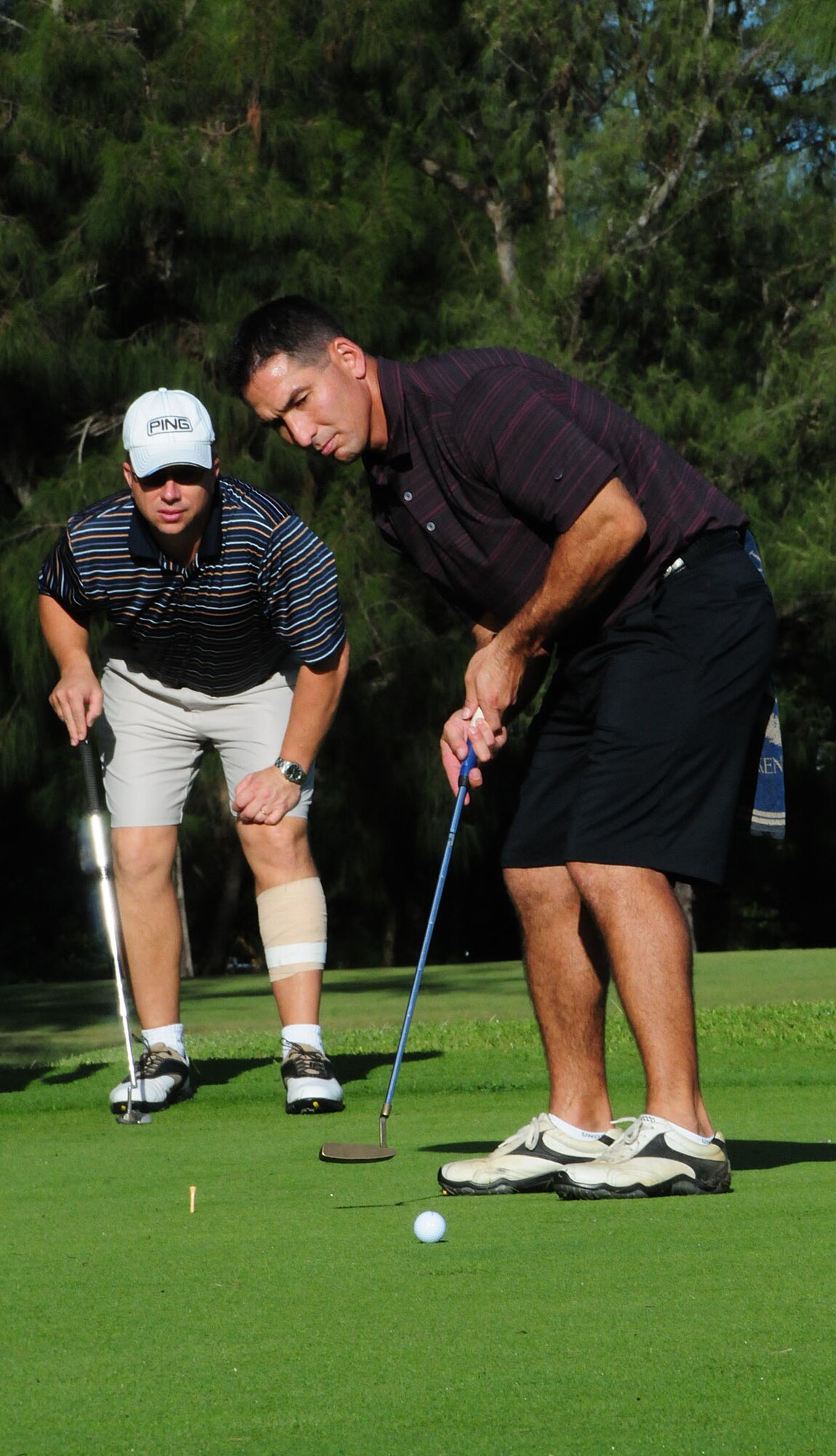 A golfer participating in Kadena's 2009 Combined Federal Campaign Kickoff Golf Tournament anxiously awaits the results of his putt. The CFC will run through Dec. 5.   
(U.S. Air Force Photo/1st Lt. Joe Kreidel) 