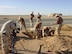 Air National Guard and 38th CEG members excavate adjacent to a hand hole, in order to extend a conduit-duct run during Operation Iraqi Freedom. (Courtesy photo) 