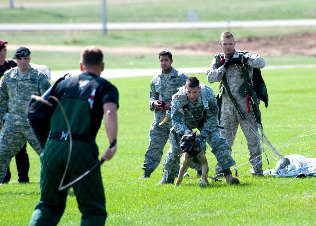 After removing all his parachute gear, U.S. Army 1st Sgt. Chris Lalonde, center, releases his military working dog, Sgt. Maj. Fasco, during a K-9 demonstration after landing  safely onto Gammon Parade Field, and making history with the military’s first Tandem Airborne Jump from an altitude of 12,500 feet during Military Police Warfighter Week, Fort Leonard Wood, Mo., Sept. 18, 2009. Lalonde is assigned to Company D, 701st Military Police Battalion.