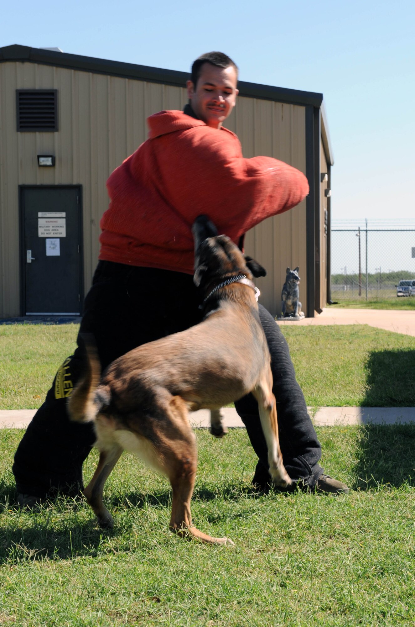DYESS AIR FORCE BASE, Texas— Zasko, a 7th Security Forces Military Working dog demonstrates how a military working dog detains an evading perp during a tour here Oct 2. Airman First Class Karl Marusak, from the 40th Airlift Squadron, volunteered to wear a protective bite suit to assist in the demonstration.  (U.S. Air Force photo by Airman Brittany Prescott)