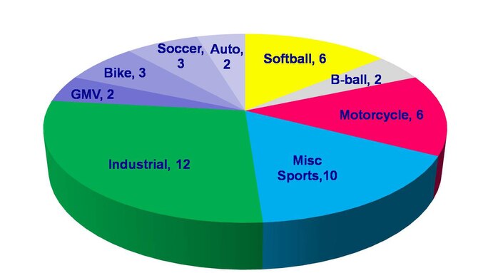 This graphic illustrates 21st SW Critical Days of Summer mishap categories. (Graphic courtesy of the 21st SW Safety Office) 