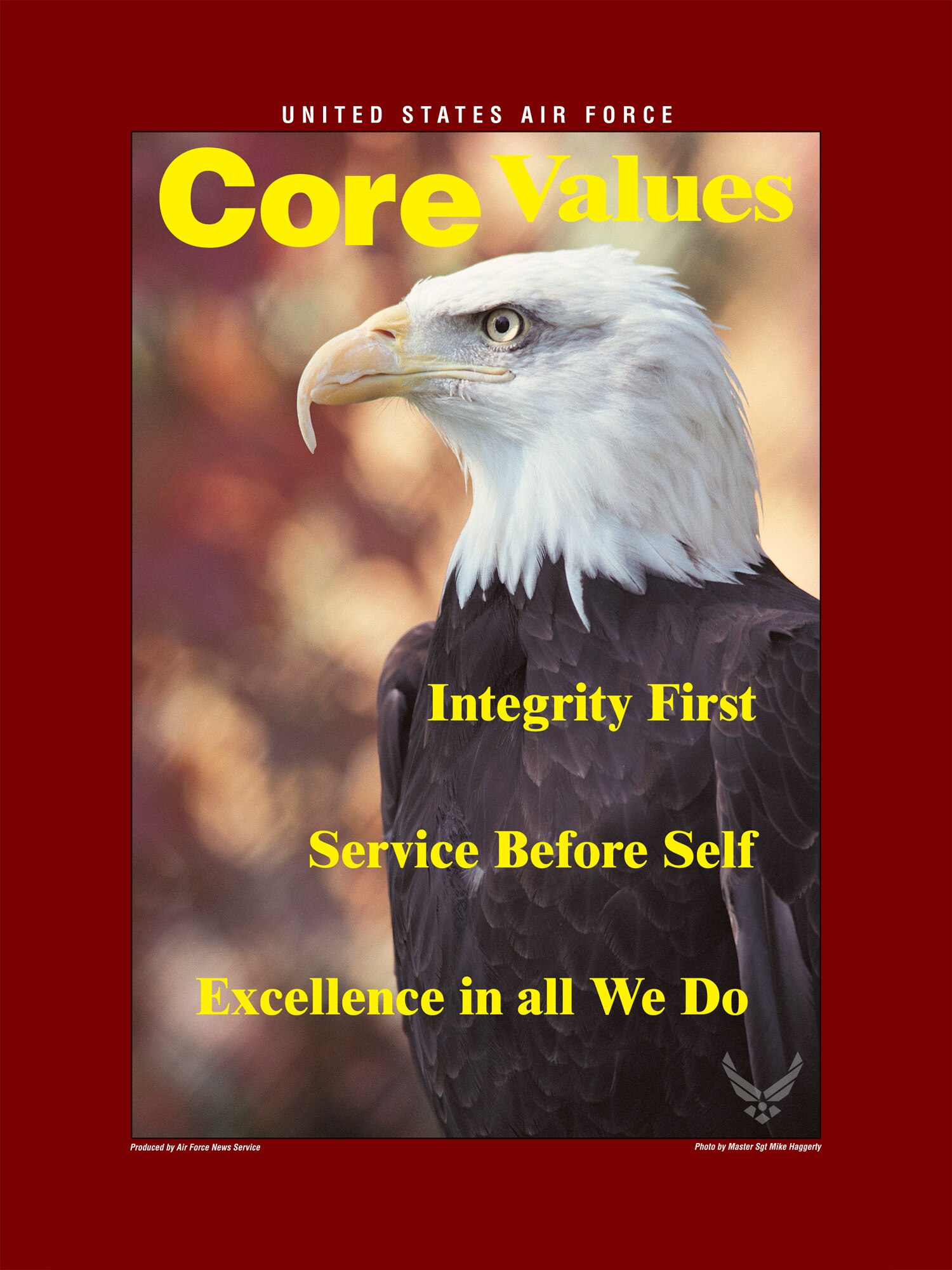 The Core Values are much more than minimum standards. They remind us what it takes to get the mission done. They inspire us to do our very best at all times. They are the common bond among all comrades in arms, and they are the glue that unifies the force and ties us to the great warriors and public servants of the past. (U.S. Air Force graphic)