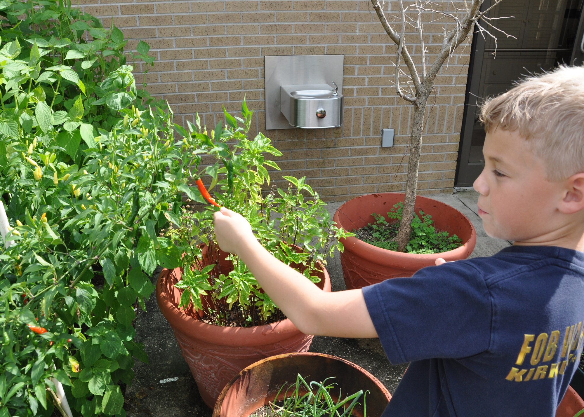 Drake Bracken, 4H Kids 4 Change member, checks out a pepper grown in the garden are of the 'ecosystem' Oct. 7 at the Youth Center on Eglin Air Force Base, Fla.  (U.S. Air Force photo/Airman 1st Class Chris Jacobs)