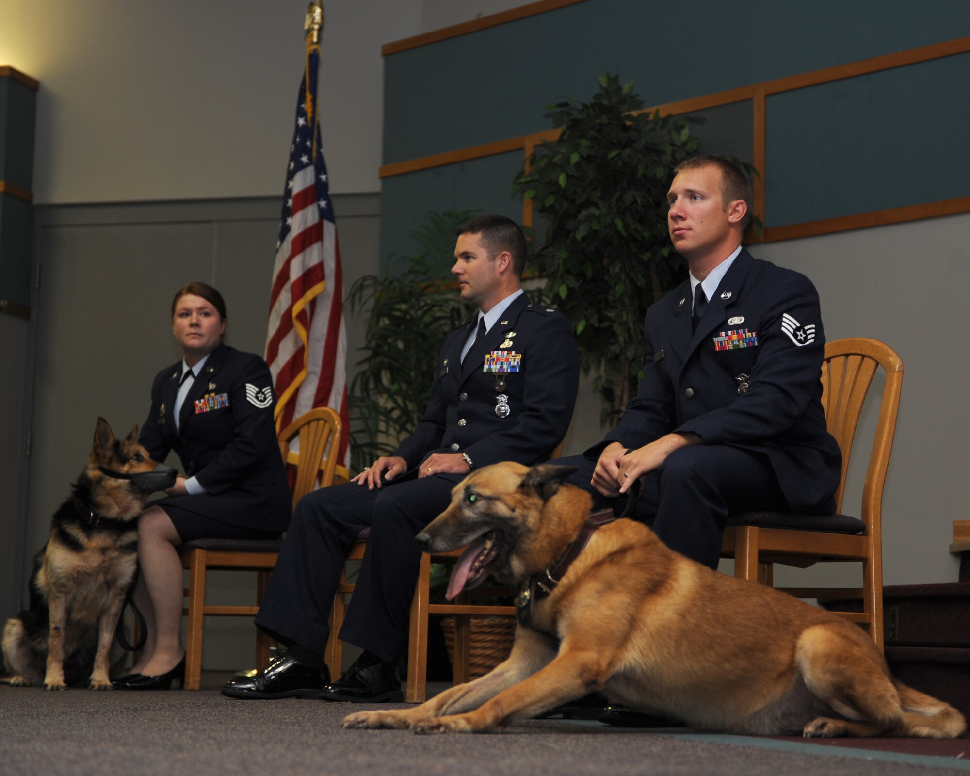 WHITEMAN AIR FORCE BASE, Mo. – Military Working Dogs, Tina (left) and Joost, lay on the floor next to their escorts during their retirement ceremony from active duty, Oct 8. MWDs, Charlie, Joost, Rico, and Tina retired from active duty service Oct. 8 after more than 35 years of service to their country combined. (U.S. Air Force photo/ Senior Airman Cory Todd)