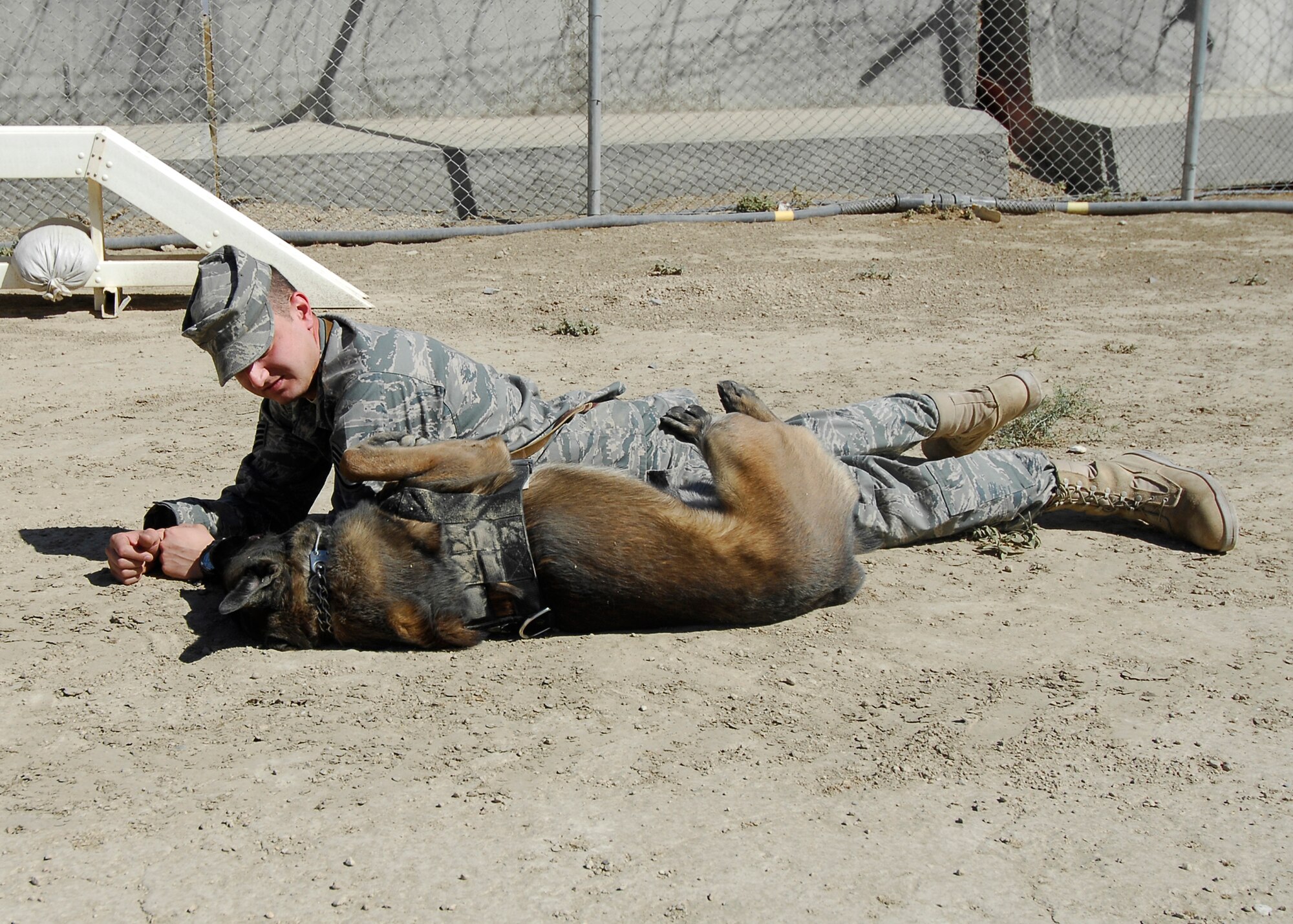BAGRAM AIRFIELD, Afghanistan -- Staff Sgt. Steven Gonzalez, a dog handler from the 455th Expeditionary Security Forces Squadron, takes time out of training to reward Military Working Dog, Bruno, for his hard work and obedience here, Oct. 8, 2009.  Ensuring the canines are trained on a daily basis assures the effectiveness of the dogs.   "We patrol the base perimeter," said Sergeant Gonzalez. "He [Bruno] detects if anyone is outside the wire, he keeps us safe."  Sergeant Gonzalez, a Converse, Ind. native, is deployed from Davis-Monthan Air Force Base, Ariz.  (U.S. Air Force photo/Senior Airman Felicia Juenke)