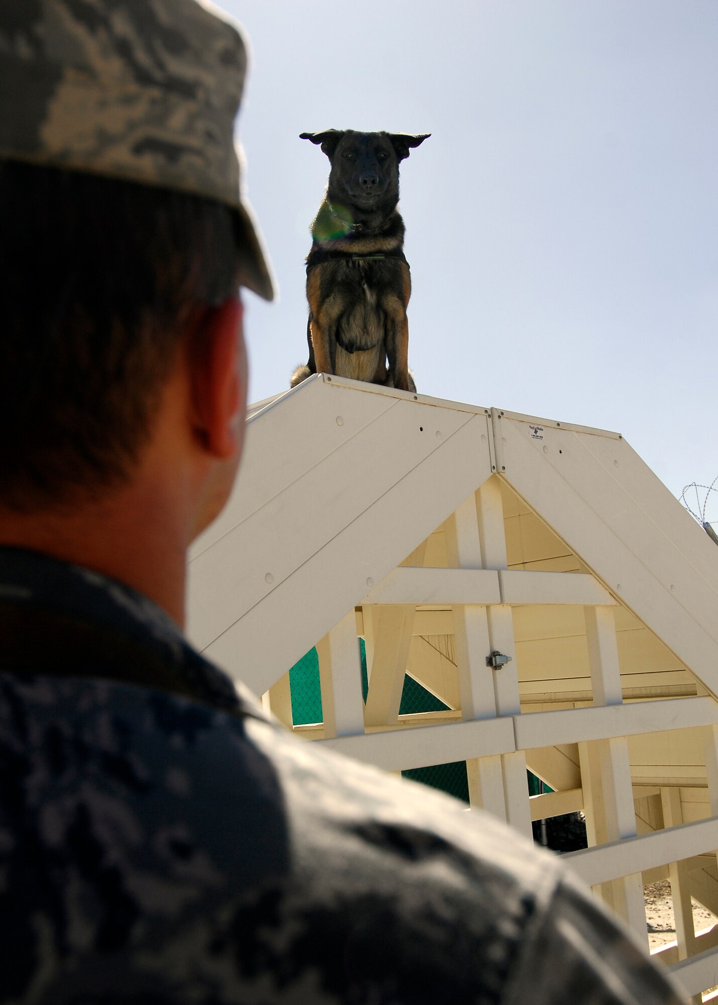 BAGRAM AIRFIELD, Afghanistan -- Staff Sgt. Steven Gonzalez, a dog handler from the 455th Expeditionary Security Forces Squadron, gives command for Military Working Dog, Bruno, to sit while training on the obstacle course here, Oct. 8, 2009.  The obstacle course is part of Camp Kujo, which was hand-built by the previous dog handler teams.  Sergeant Gonzalez is deployed from Davis-Monthan Air Force Base, Ariz., and hails from Converse, Ind.  (U.S. Air Force photo/Senior Airman Felicia Juenke)