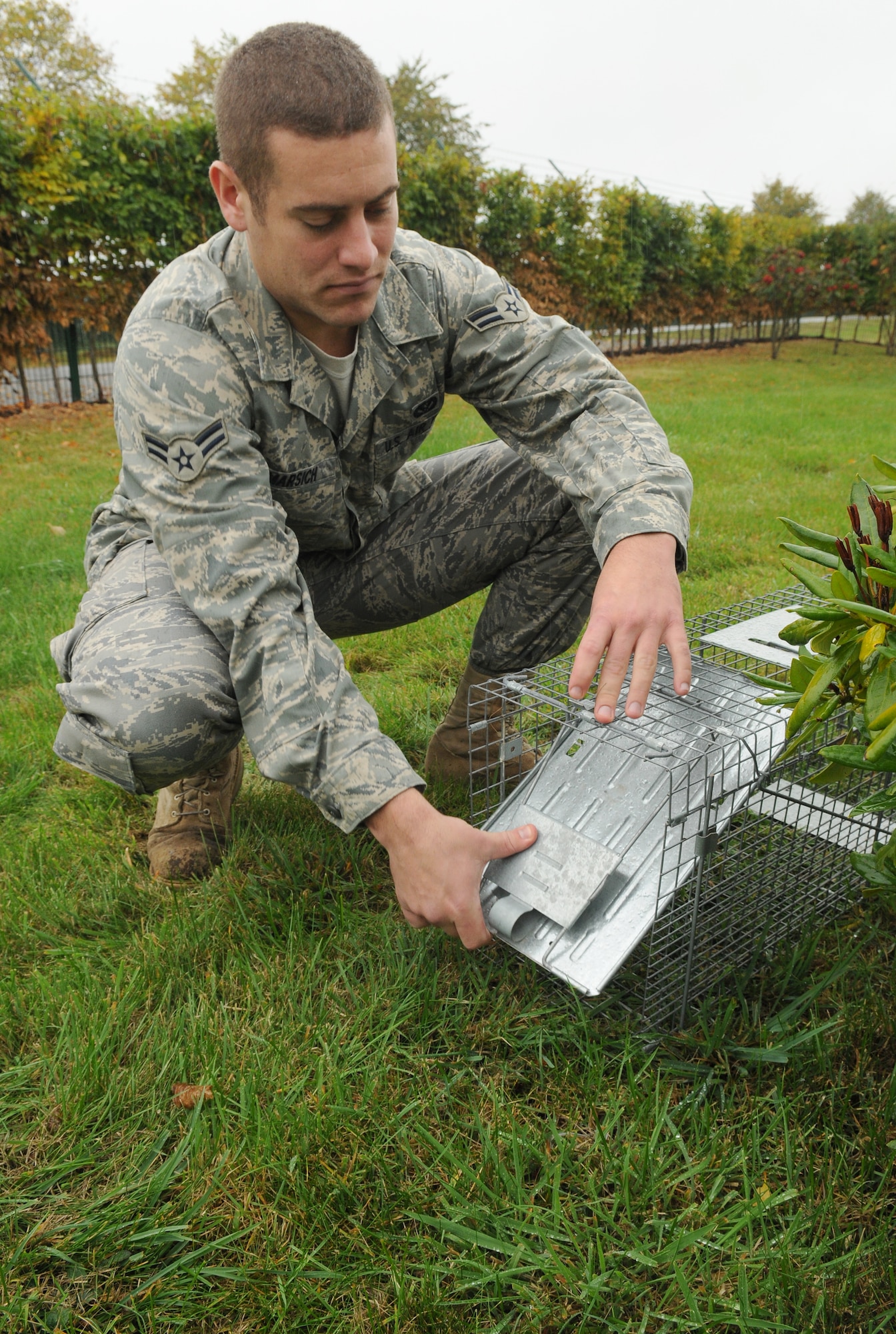 SPANGDAHLEM AIR BASE, Germany -- Airman 1st Class Sean Marsich, 52nd Civil Engineer Squadron entomology shop, sets a live animal trap near a building here Oct. 6. The traps are used to capture small animals like cats, foxes and hedgehogs. The animals are caught in the trap and transported to a wildlife refuge nearby. (U.S. Air Force photo/Airman 1st Class Nathanael Callon)