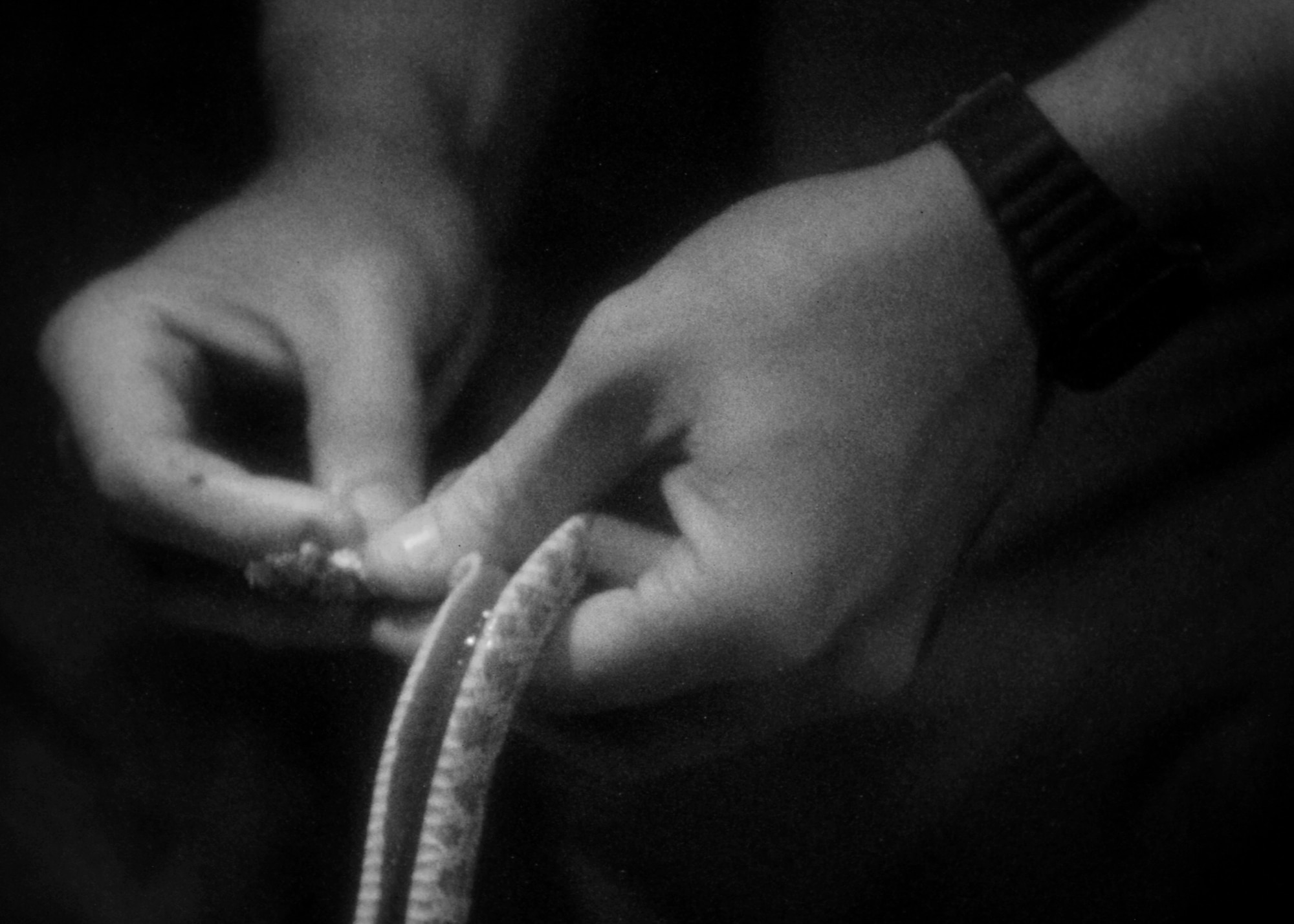 A desert survival student prepares a freshly-deceased rattle snake for consumption after finding the cold-blooded creature during the team’s trek back to base camp hours after dusk here. (U.S. Air Force photo / Senior Airman Joshua K. Chapman)