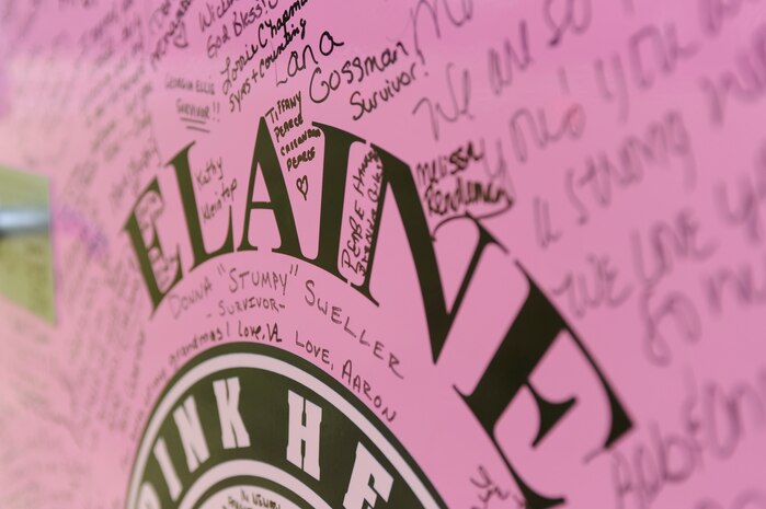 "Elaine" is a pink fire truck that makes its rounds as part of the Pink Heals Tour. The Pink Heals Tour visited Charleston AFB Oct. 9, and the truck is named in honor of a woman who contributed to the cause and later died of breast cancer. (U.S. Air Force photo/Senior Airman Amber Grimm)