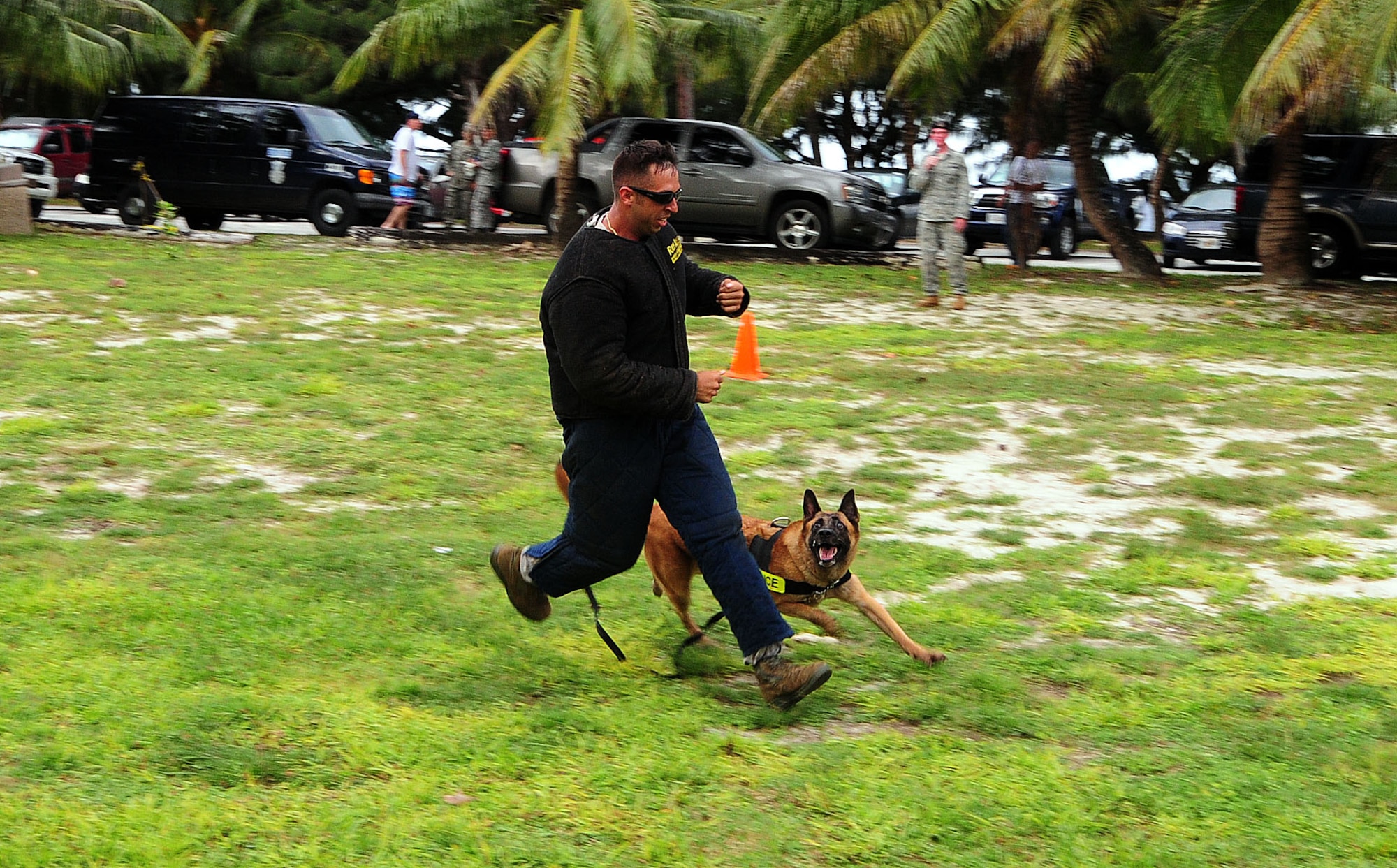 ANDERSEN AIR FORCE BASE, Guam - Military working dog Betsie simulates apprehending a perpetrator Oct. 9 at Tarague Beach here. Betsie was performing a demonstration as part of the events of the Junior Enlisted Appreciation Day hosted by the Anderson Top Three organization. (U.S. Air Force photo by Airman 1st Class Julian North)
