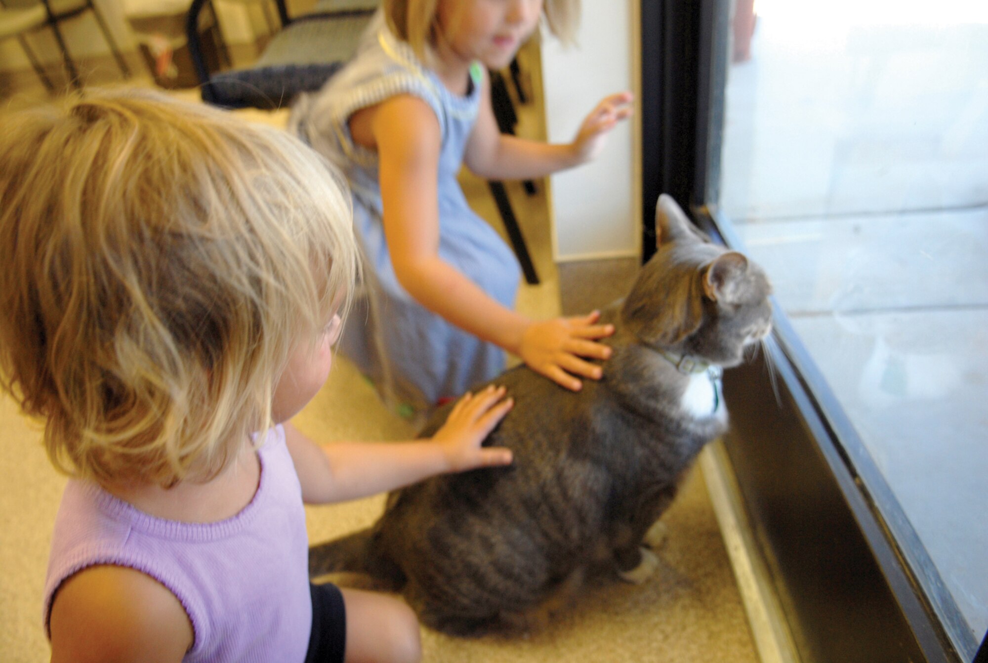 Carley Smith, 4, and her sister, Natalie, 2, pet Max, 10, as he looks out the front door of the  Luke Air Force Base Veterinary Clinic. Max, a 21-pound gray tabby cat, has been at the Luke clinic for the last ten years after he was discovered in a drainage ditch after a monsoon. He is currently on official Army orders to the base, and provides "Fat Cat Security and Pest Control" as well as increasing morale for the clinic staff and visitors. (courtesy photo)
