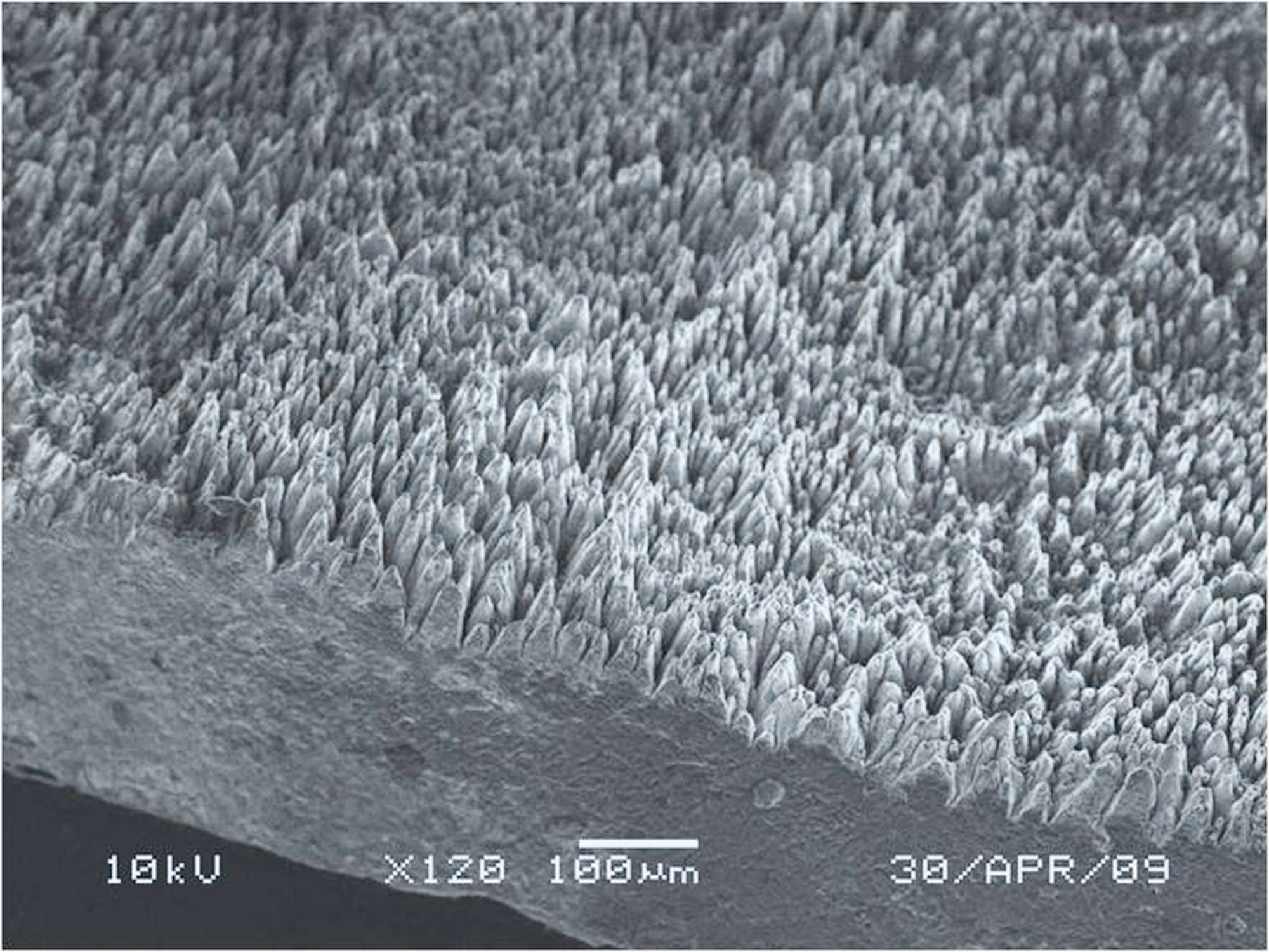 The surface structure of black silicon, as imaged by an electron microscope, contains towers and valleys that dramatically increase the substance's surface area. Physicists theorize the structure contributes to black silicon's efficiency in absorbing light. (U.S. Air Force photo)