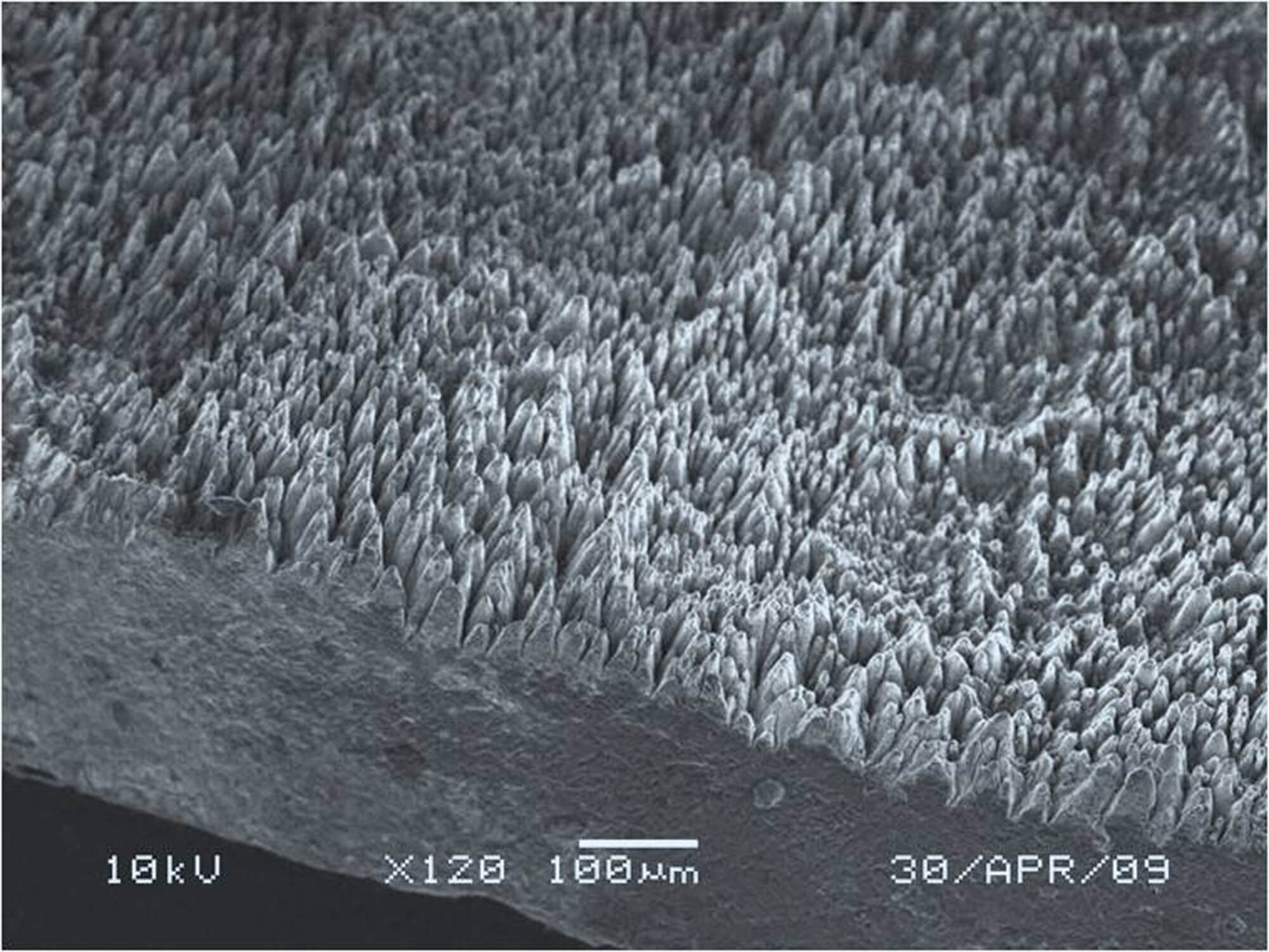 The surface structure of black silicon, as imaged by an electron microscope, contains towers and valleys that dramatically increase the substance's surface area. Physicists theorize the structure contributes to black silicon's efficiency in absorbing light. (U.S. Air Force photo)