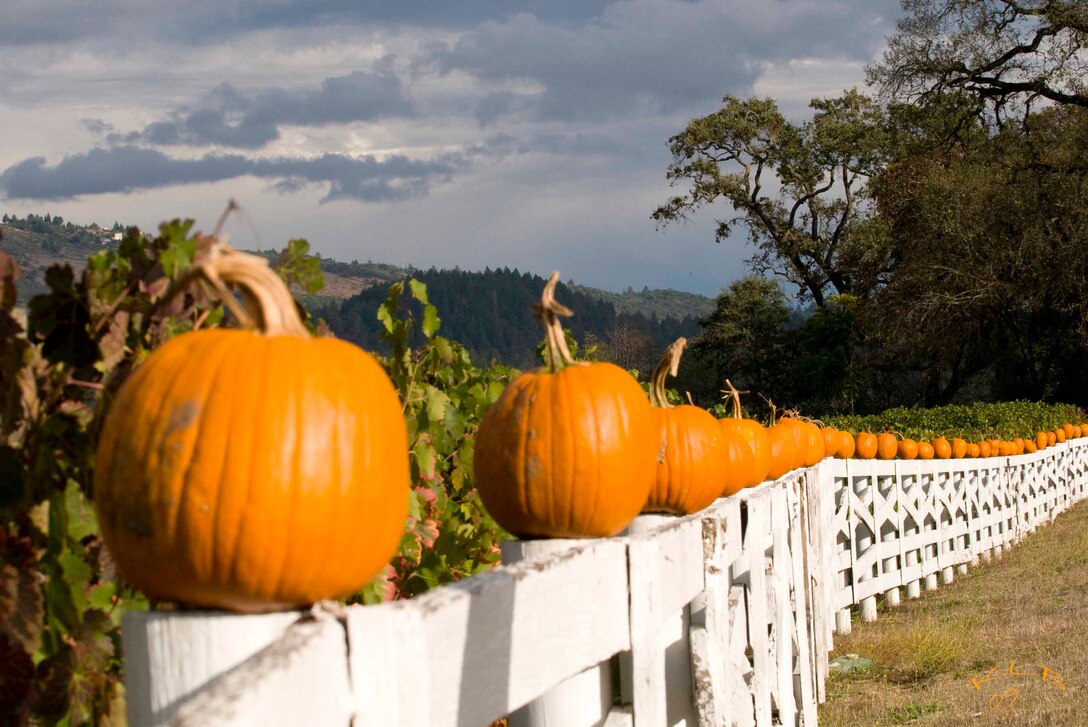 Fall at a great time year to relax and listen to music.