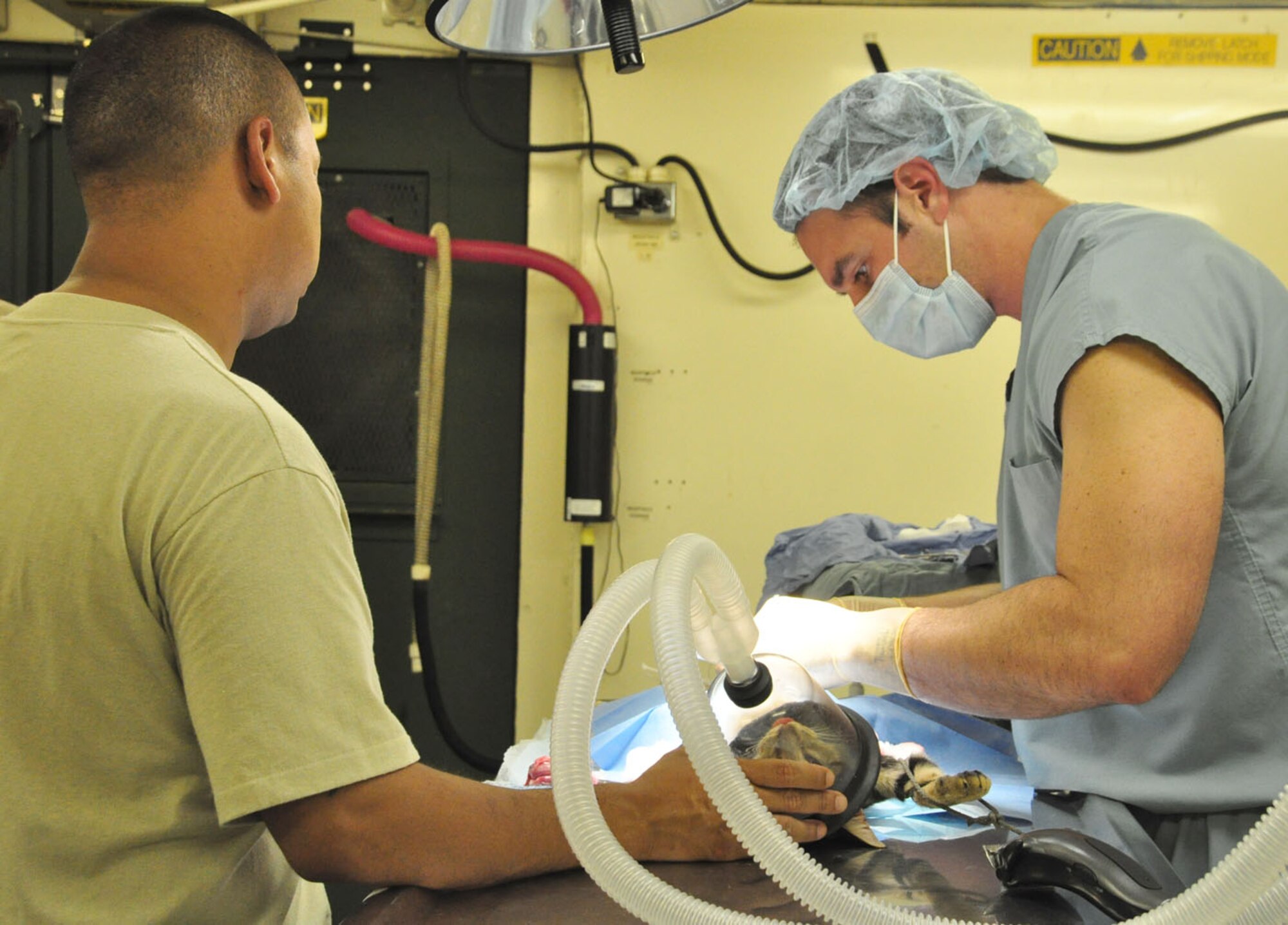SOTO CANO AIR BASE, Honduras — Army Staff Sgt. Alexander Delarosa, JTF-Bravo veterinary technician, and Army Maj. Michael McCown, a veterinarian from Southeast Regional Veterinary Command, perform a cat spaying Oct. 15 at the base preventative health operating room.The Joint Task Force-Bravo veterinarian clinic staff started a new initiative this month to try and not only control the population of cats on base, but also make sure the cats that are here are healthy in order to help control the pests on base (U.S. Air Force photo/Staff Sgt. Chad Thompson).
