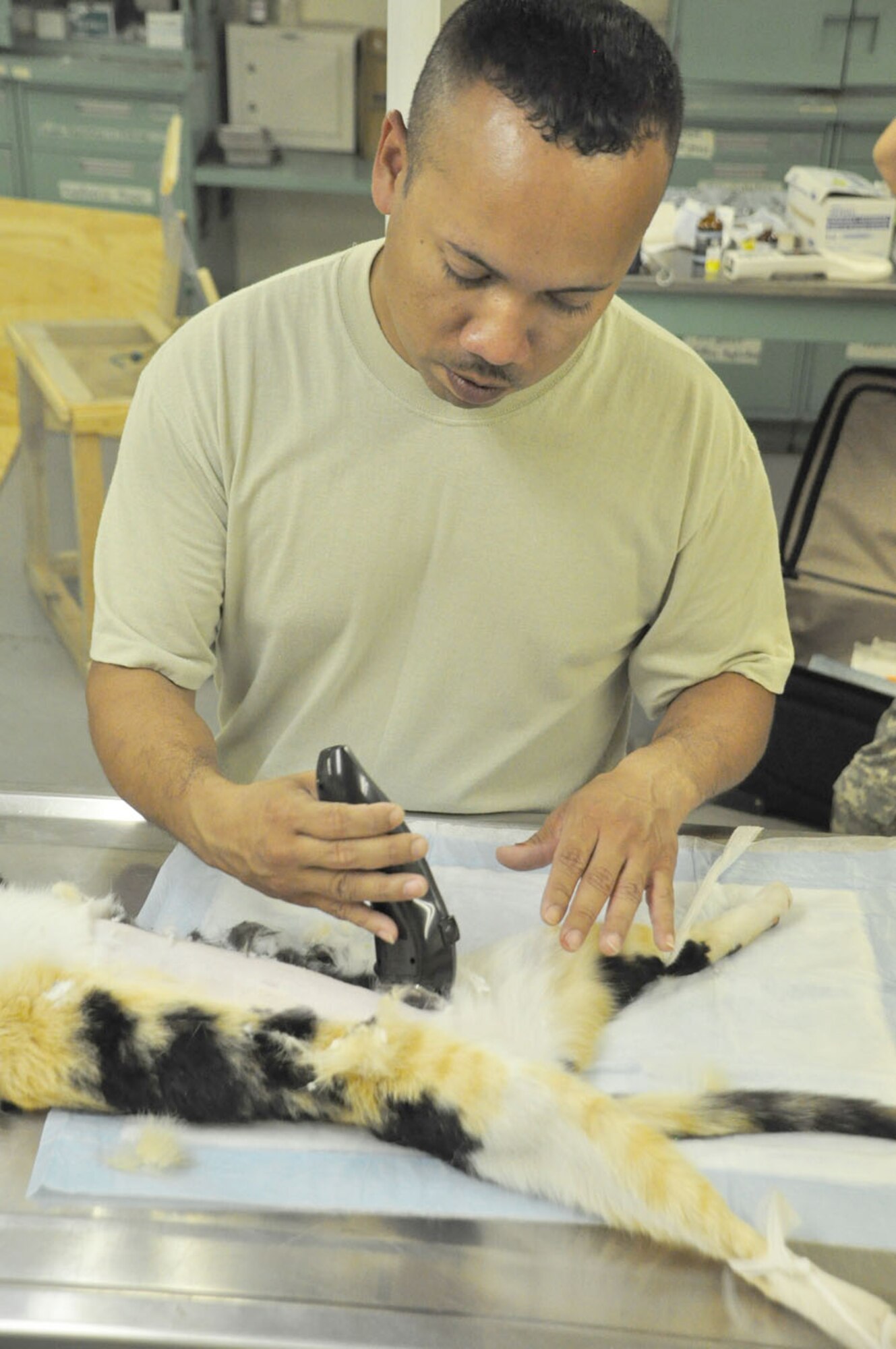 SOTO CANO AIR BASE, Honduras — Army Staff Sgt. Alexander Delarosa, JTF-Bravo veterinary technician, shaves a cat in preperation for a spaying Oct. 15 at the base preventative health operating room.The Joint Task Force-Bravo veterinarian clinic staff started a new initiative this month to try and not only control the population of cats on base, but also make sure the cats that are here are healthy in order to help control the pests on base (U.S. Air Force photo/Staff Sgt. Chad Thompson).
