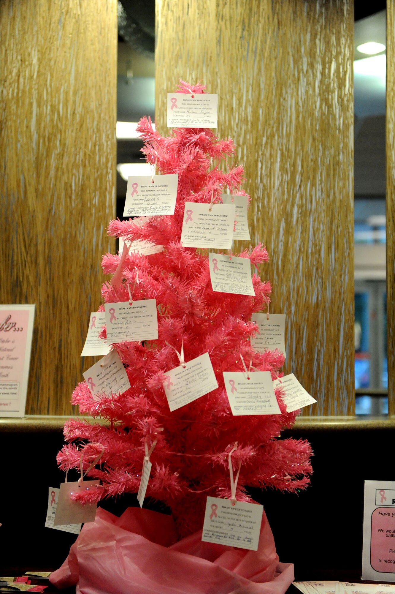 The Breast Cancer Awareness Month remembrance tree. The tree will be placed in different locations on base throughout the month of October. Anyone with a family member or who knows someone who had breast cancer is welcome to fill out a card to be hung on the tree. Cards can be in honor of someone currently fighting, in remission, or a memorial to someone who lost their battle. (U.S. Air Force photo by Staff Sgt. Mike Andriacco) (RELEASED)