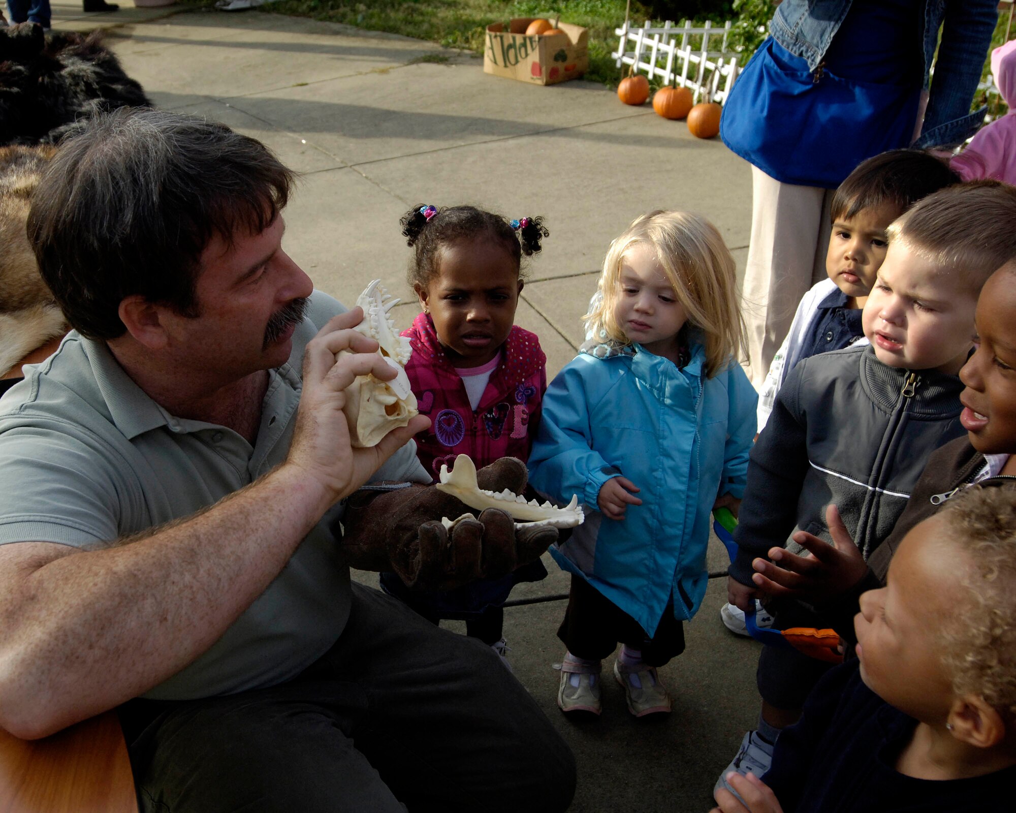 LANGLEY AIR FORCE BASE, Va. -- Bo Baker, Virginia Living Museum education associate, shows children a fox skull at the Russ and Jean Child Development Center here Oct. 22. Museum personnel brought a travelling display to the CDC’s Fall Harvest Festival.  (U.S. Air Force Photo/Airman Rebecca Montez)
