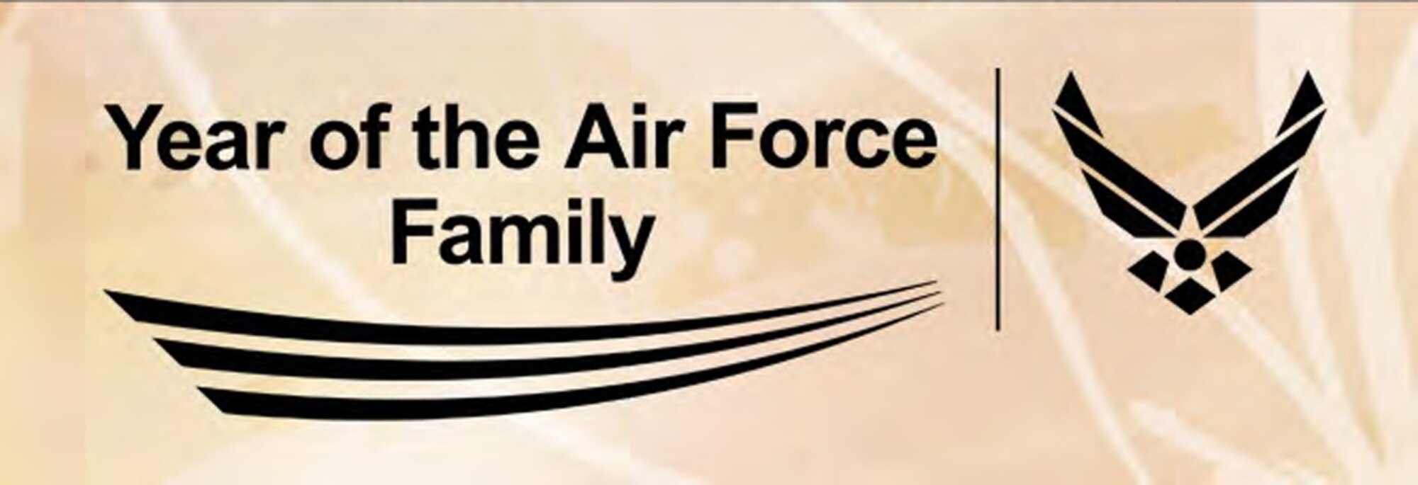 Seymour Johnson kicks off Year of the Air Force Family with "Taking it to the Streets," Nov. 7 in Berkeley Village.