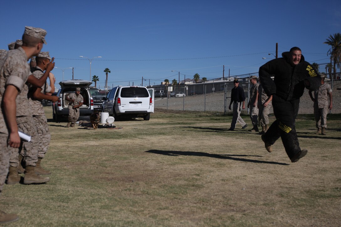 Lance Cpl. Andrew Singer, a student with Company A, Marine Corps Communications-Electronics School, runs at full speed in a bite suit as a Provost Marshals Office dog handler releases a dog to take him down at Victory Field during the annual MCCES Safety Fair Oct. 23.