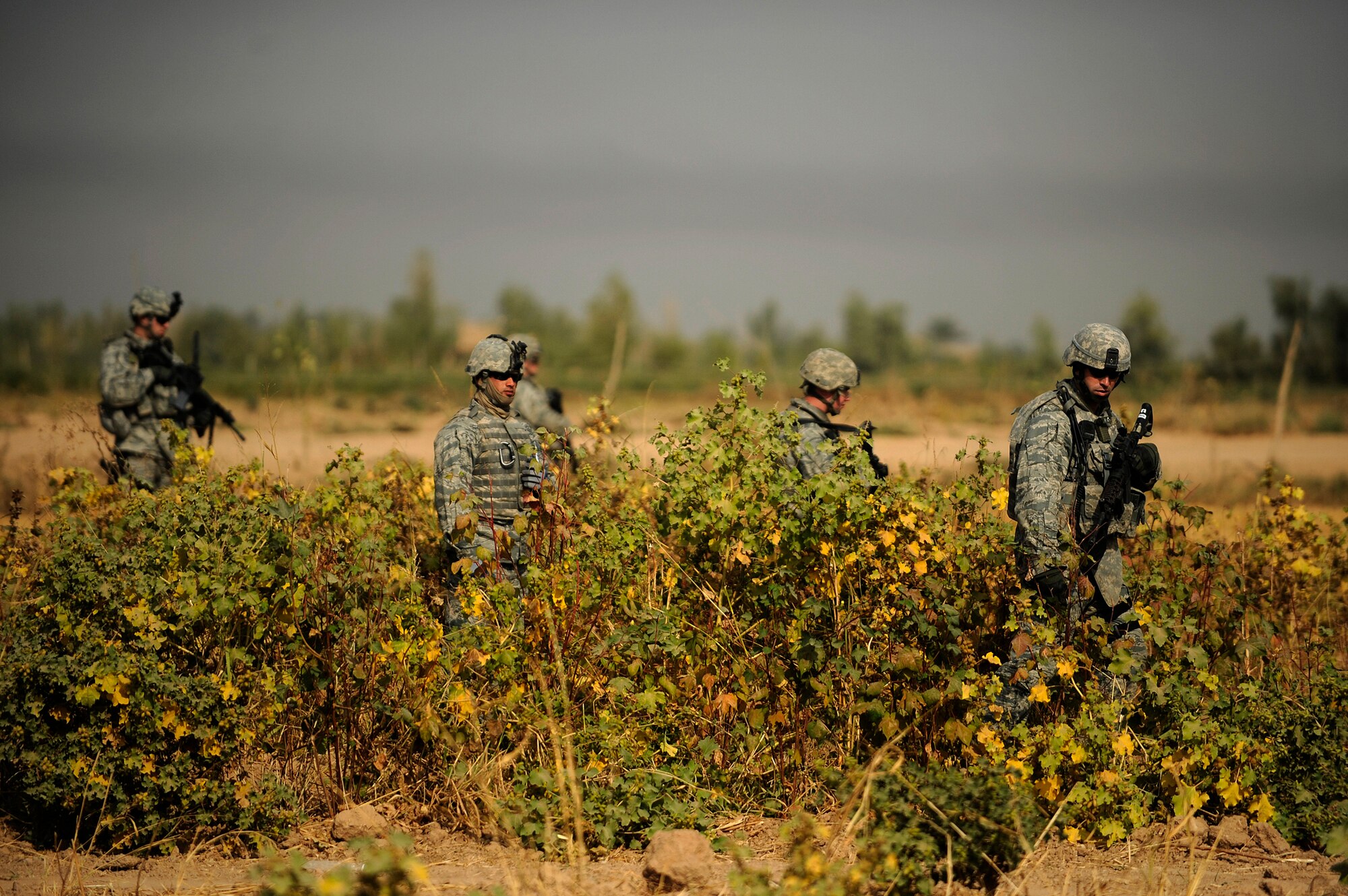 JOINT BASE BALAD, Iraq -- "Lion Team" Airmen from the 532nd Expeditionary Security Forces Squadron search a field during a force protection patrol outside the base Oct. 17, 2009. The 532nd ESFS patrols outside JBB to provide a security presence intended to deter anyone who would do harm to the people who live and work here. (U.S. Air Force photo/Staff Sgt. Michael B. Keller) 