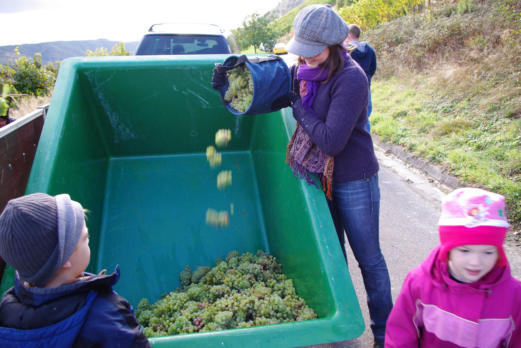 SPANGDAHLEM AIR BASE, Germany -- Children huddle nearby as 2nd Lt. Kathleen Polesnak, 52nd Fighter Wing Public Affairs, pours a bucket of Mosel Riesling grapes into a trailor Saturday during graphe harvesting in Osann Monzel. (U.S. Air Force photo/Iris Reiff)