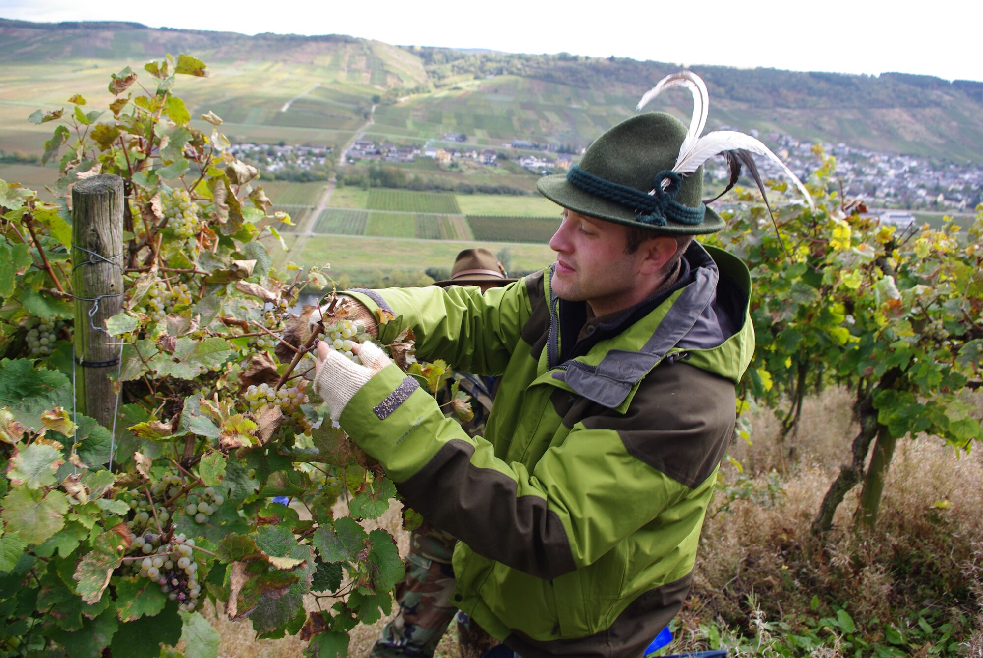 SPANGDAHLEM AIR BASE, Germany -- Staff Sgt. Joseph Cipolla, a 52nd Medical Group, prunes grapes Saturday. The sergeant invited a group of 50 base members to come help with the harvest in the local Mosel community of Osann-Monzel. (U.S. Air Force photo/Iris Reiff)