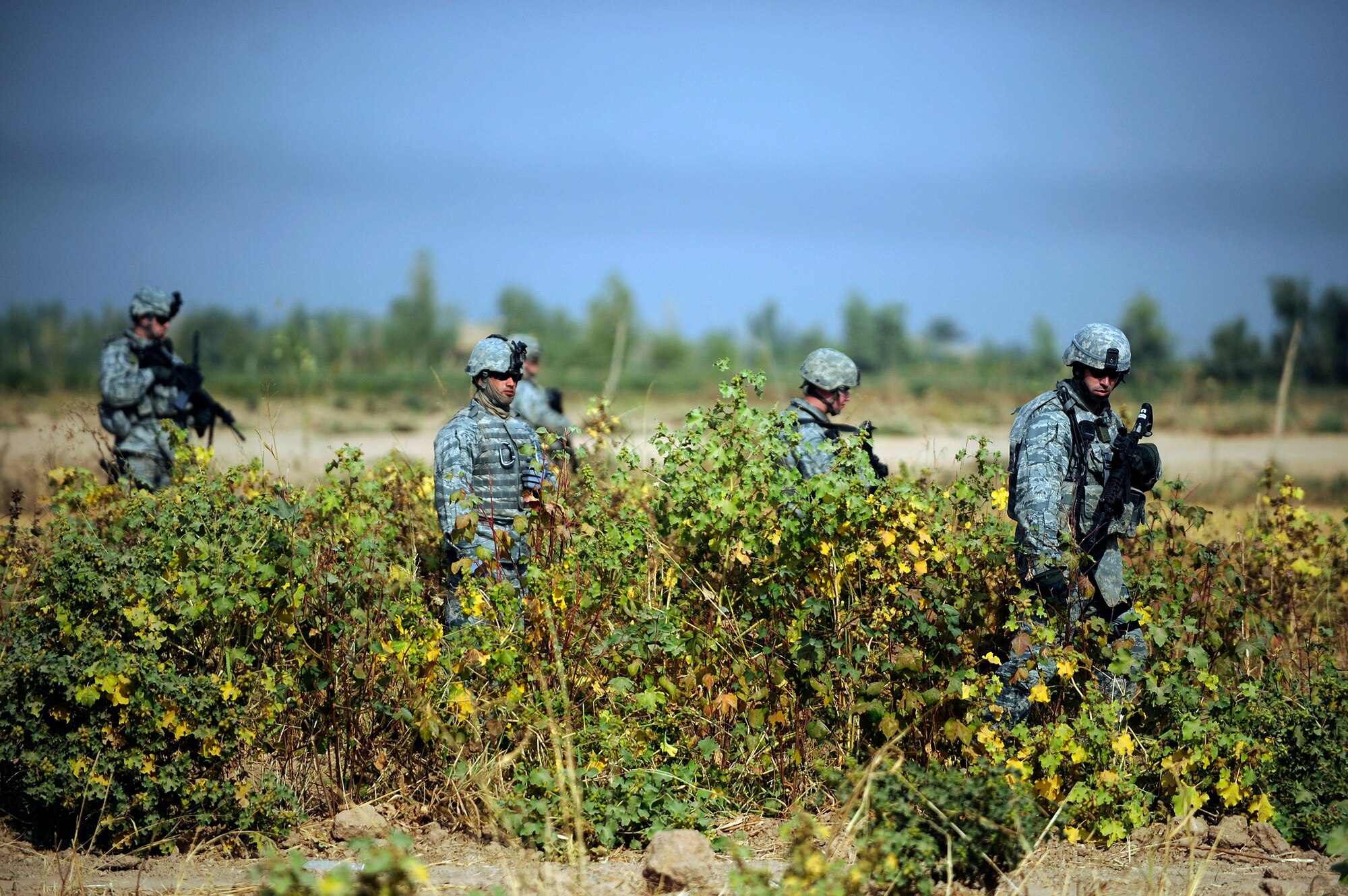 Airmen from the 532nd Expeditionary Security Forces Squadron search a field during a force protection patrol Oct. 17, 2009, outside Joint Base Balad, Iraq. Members of the 532nd Expeditionary Security Forces Squadron patrol to provide a security presence intended to deter anyone who would do harm to the people who live and work at the base. (U.S. Air Force photo/Staff Sgt. Michael B. Keller) 
