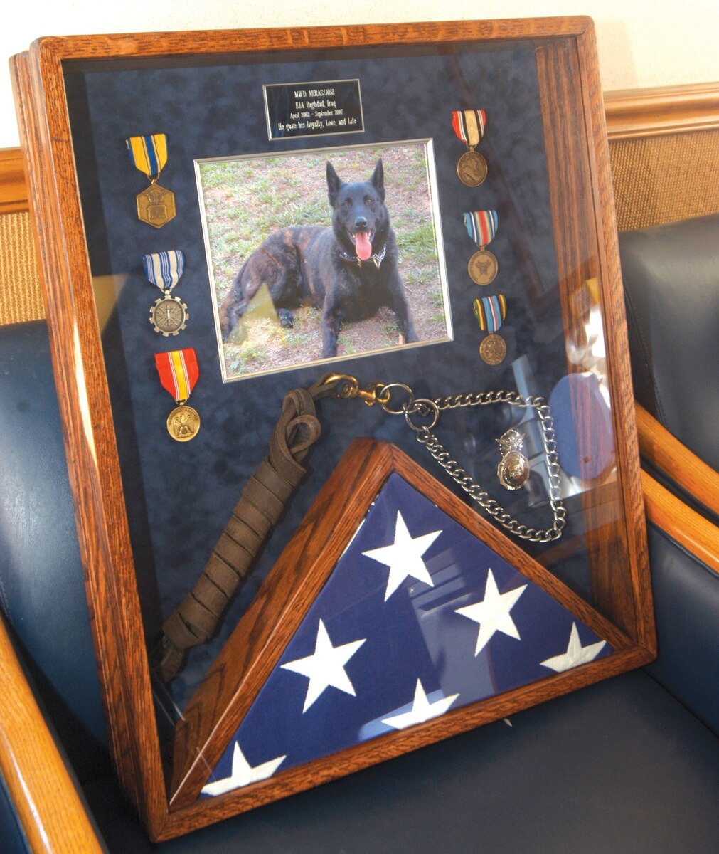 Robins remembers military working dog's ultimate sacrifice