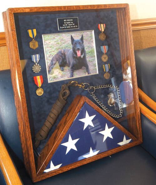 A shadowbox containing the badge, choker chain, medals and flag for Arras, Robins military working dog, will be displayed in the Security Forces building. U. S. Air Force photo by Sue Sapp  
