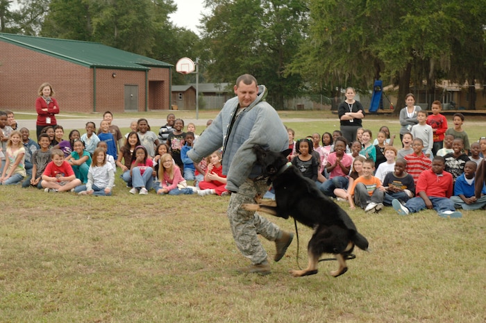 Students and faculty at Hunley Park Elementary watched as Staff Sgt. Shannon Giroir demonstrates how military working dog Waldo takes down an aggressor during a drug search demonstration held at the school, Oct. 27. The dog demonstration was part of red ribbon week which is the nation's oldest and largest drug prevention program, reaching millions of Americans every year. Sergeant Giroir is the kennel master with the 437th Security Forces Squadron. (U.S. Air Force photo/Staff Sgt. Marie Brown)