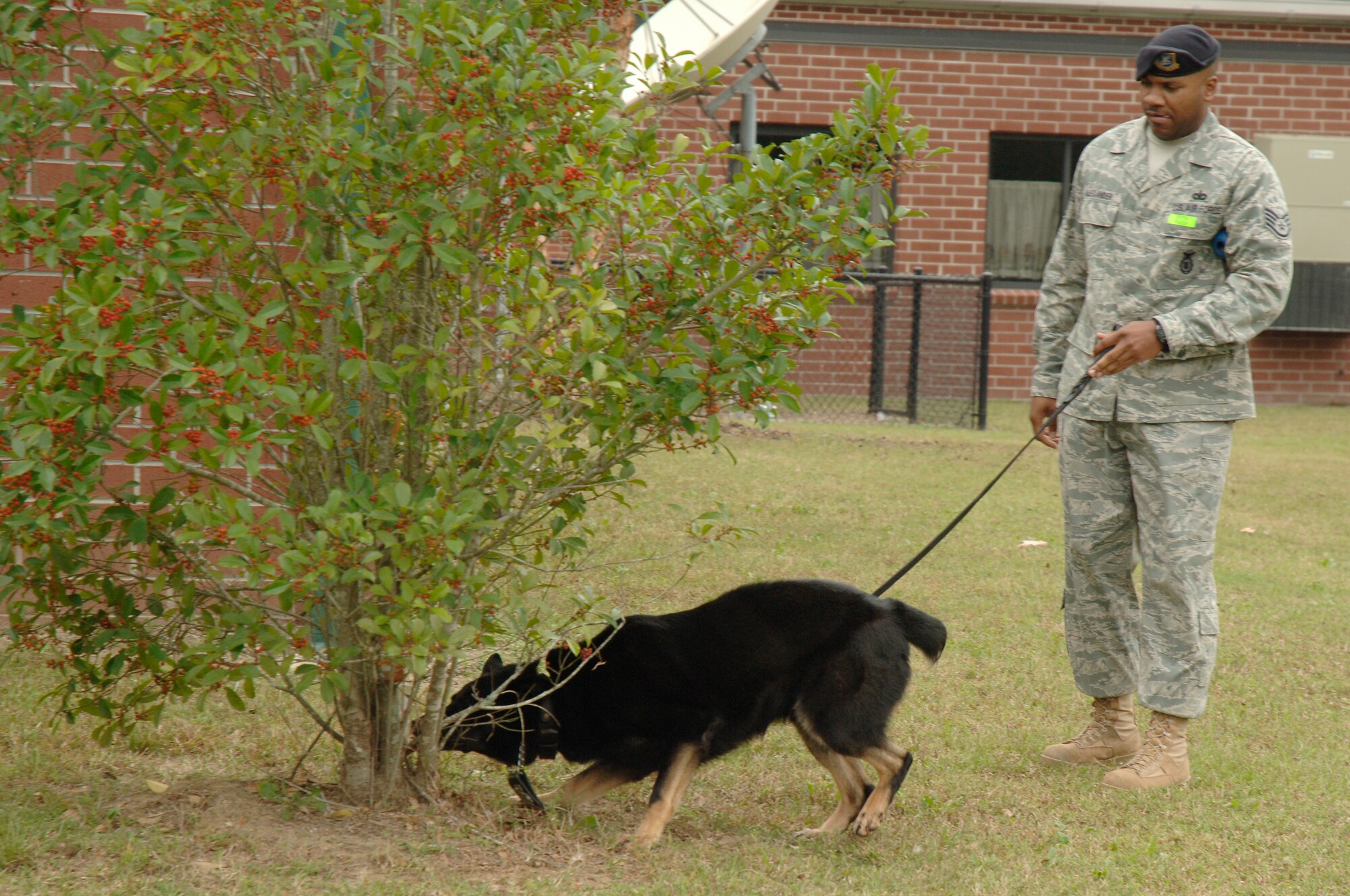 Staff Sgt. Ramon Alexander waits as his dog Waldo locates illegal drugs during a drug search demonstration at Hunley Park Elementary, Oct. 27. The 437th Security Forces Squadron's military working dog kennels conducted the demonstration to show children how nothing goes undetected with the military working dogs. Sergeant Alexander is a dog handler with the 437 SFS. (U.S. Air Force photo/Staff Sgt. Marie Brown)