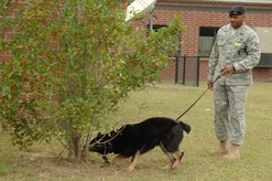 Staff Sgt. Ramon Alexander waits as his dog Waldo locates illegal drugs during a drug search demonstration at Hunley Park Elementary Oct. 27. The 437th Security Forces Squadron's military working dog kennels conducted the demonstration to show children how nothing goes undetected with the military working dogs. Sergeant Alexander is a dog handler with the 437 SFS. (U.S. Air Force photo/Staff Sgt. Marie Brown) 

