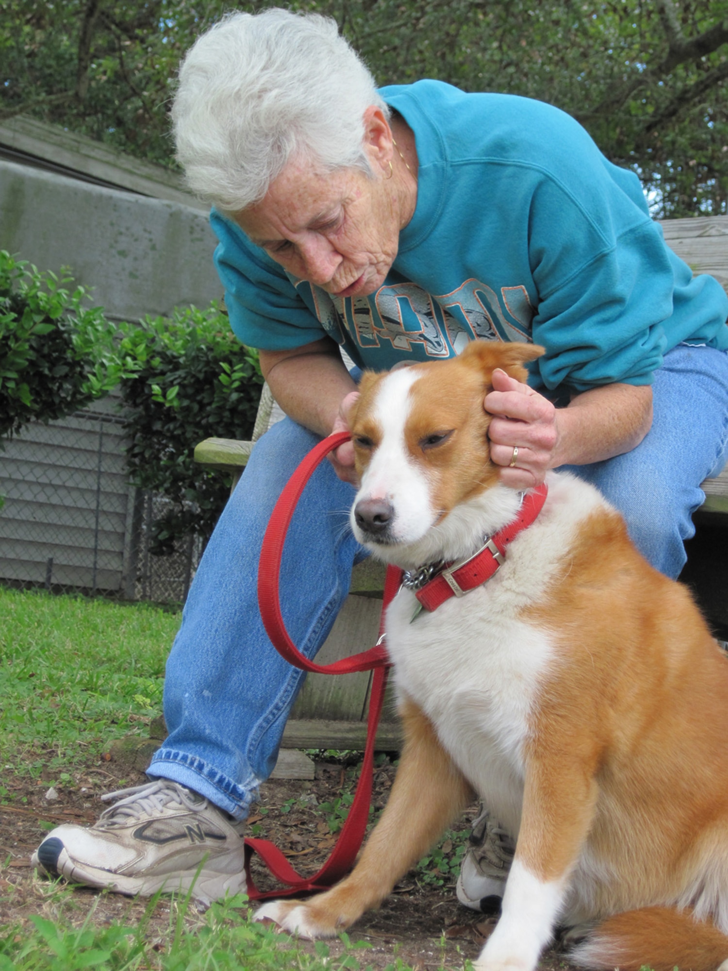 De Cunningham, Pet Welfare volunteer, pets Angel, a corgi/Labrador retriever available for adoption. Volunteers are needed to assist with the day-to-day care of the animals, work on committees and take animals to the veterinarian. (U.S. Air Force photo/Ashley M. Wright)
