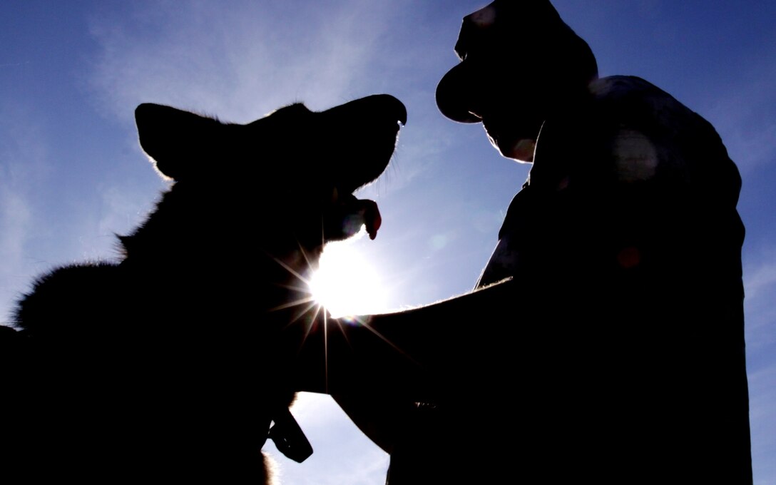 Lance Cpl. Norby W. Buchhorn, military police K-9 handler, Security Battalion, Marine Corps Base Camp Pendleton, walks Sgt. Adam L. Cann’s German shepherd, Bruno, around the base’s K-9 kennel, Oct. 30.