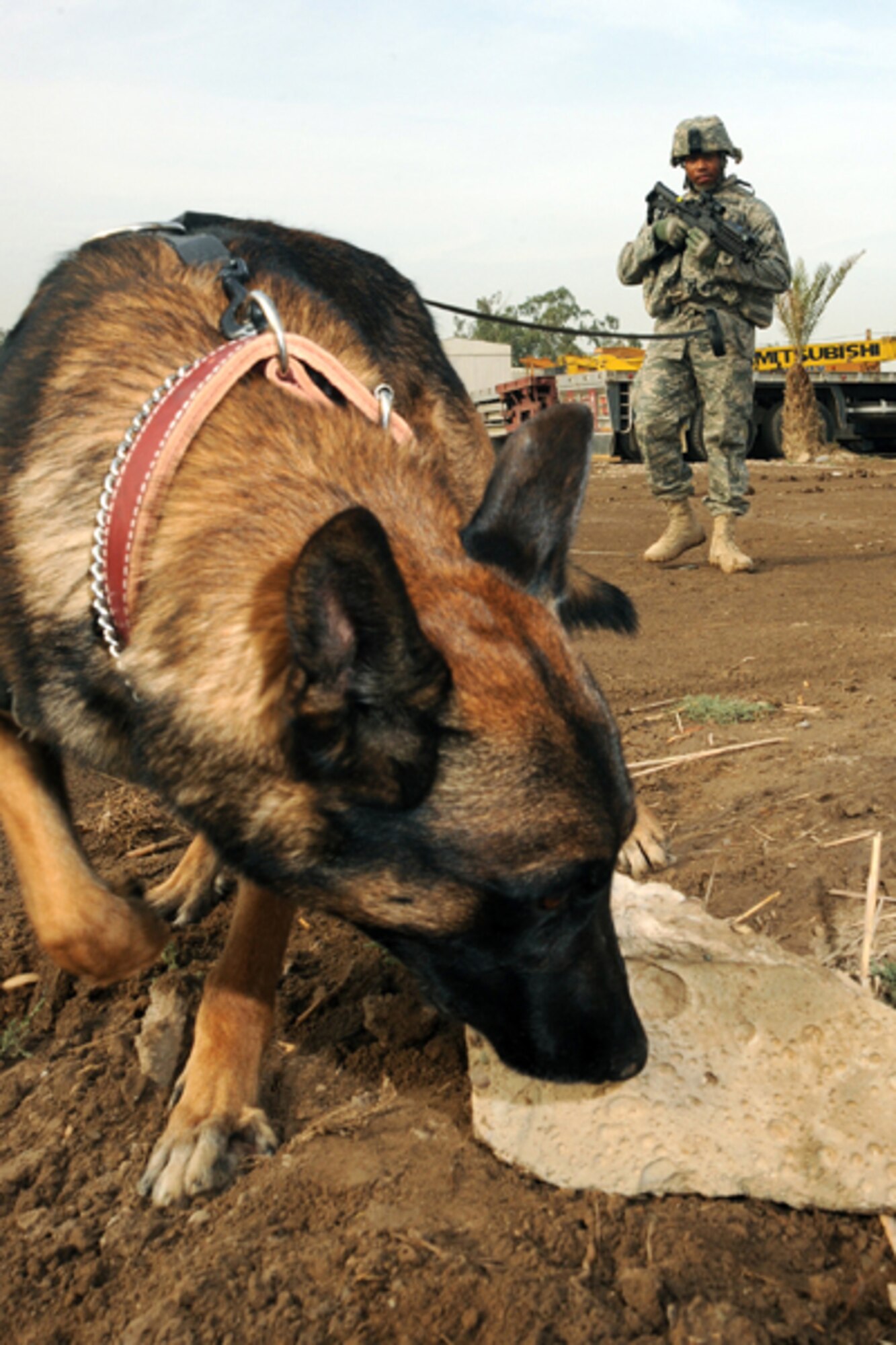 CAMP VICTORY, Iraq -- Air Force Senior Airman Mark Bush, military working dog handler assigned to Multinational Division Baghdad - Iraq, and his K9 partner, Chukky, search for explosives during a training session Oct. 28, 2009. The pair trains regularly to maintain their proficiency in locating explosives. Airman Bush and Chukky are deployed from Nellis Air Force Base, Nev. Bush hails from Dallas. (U.S. Air Force photo/Tech. Sgt. Johnny L. Saldivar)

