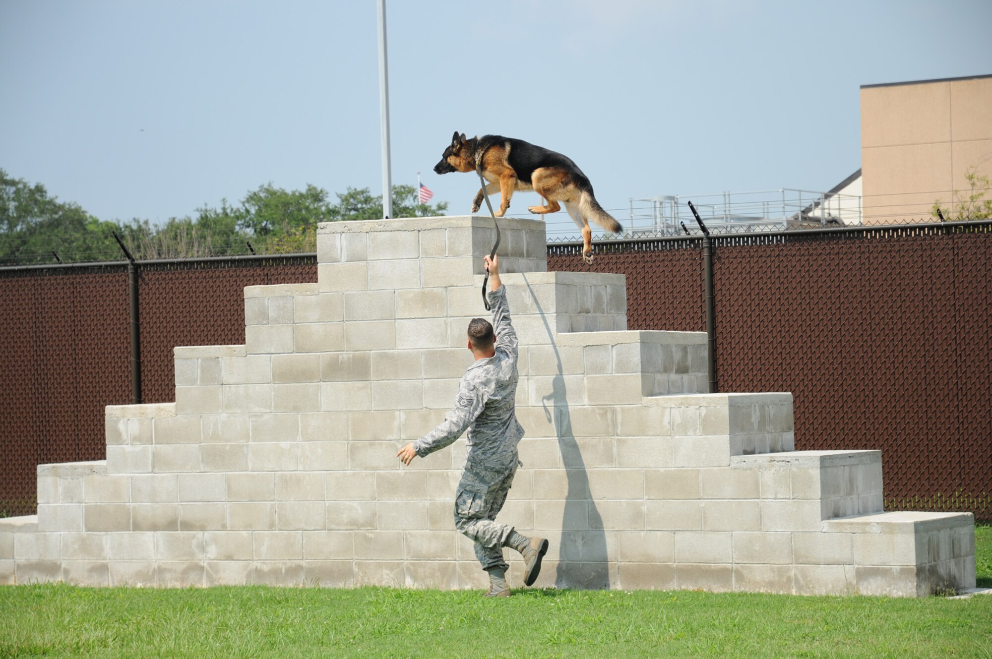 Staff Sgt. Jose Orama walks Gino through the stairs obstacle at the military working dog facility.  The stairs are used not only to give the dogs exercise, but to help them gain confidence with heights without a handler next to them.  (U.S. Air Force photo by Kemberly Groue)