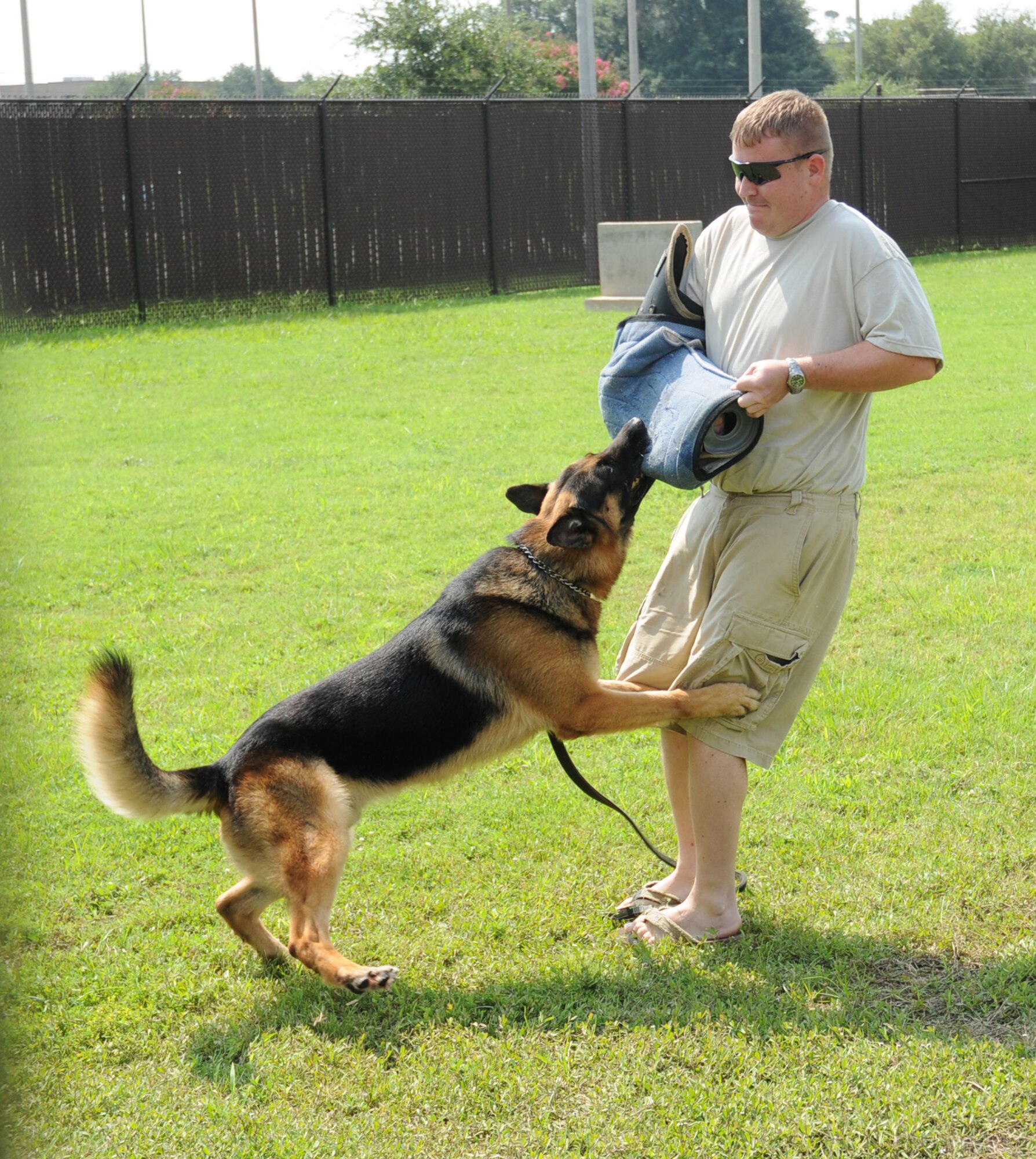 Sergeant Pedersen trains Gino to attack a suspect that’s trying to run from the handler.  (U.S. Air Force photo by Kemberly Groue)