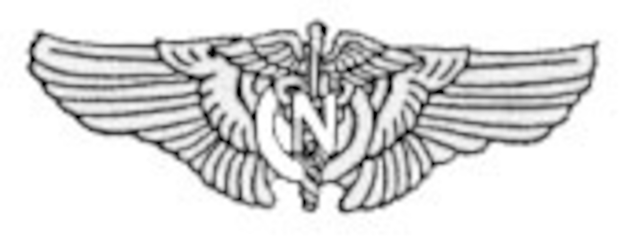 USAAF Flight Nurse Badge.