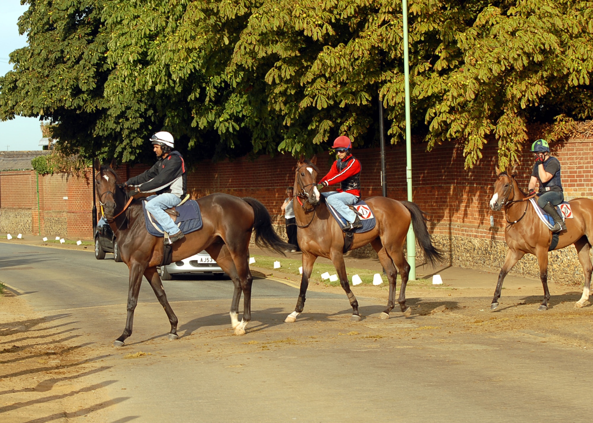 Drive into Newmarket between 6.30 a.m. and 1 p.m. and you cannot fail to see some.  There are special walkways for them but they do have to cross some busy roads so be patient and give them plenty of room -- in Newmarket horses have the right of way.  (U.S. Air Force photo/Judith Wakelam)