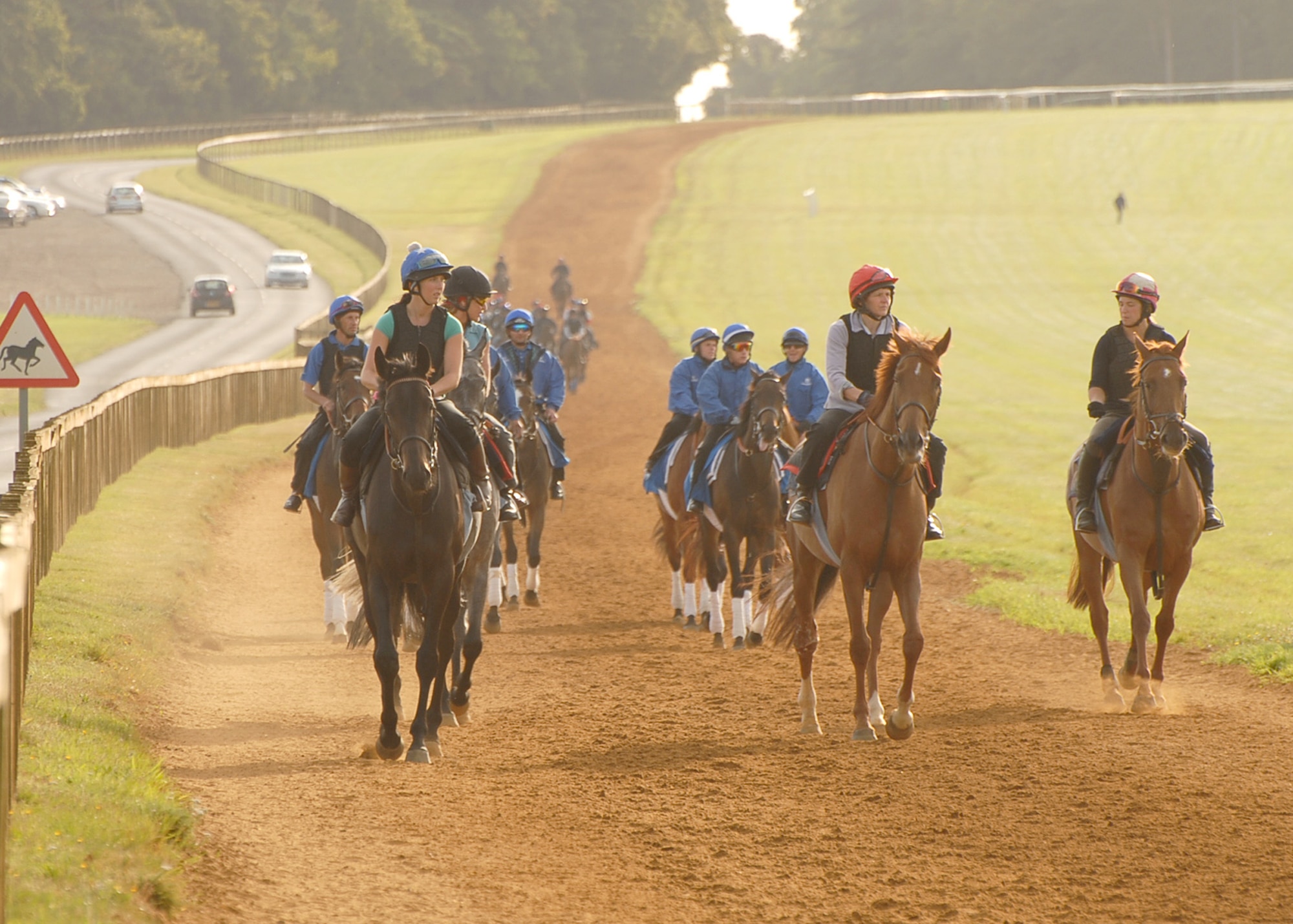 Racehorses return from early morning exercise on Newmarket Heath.  They can be seen most mornings exercising in all weather. (U.S. Air Force photo/Judith Wakelam)