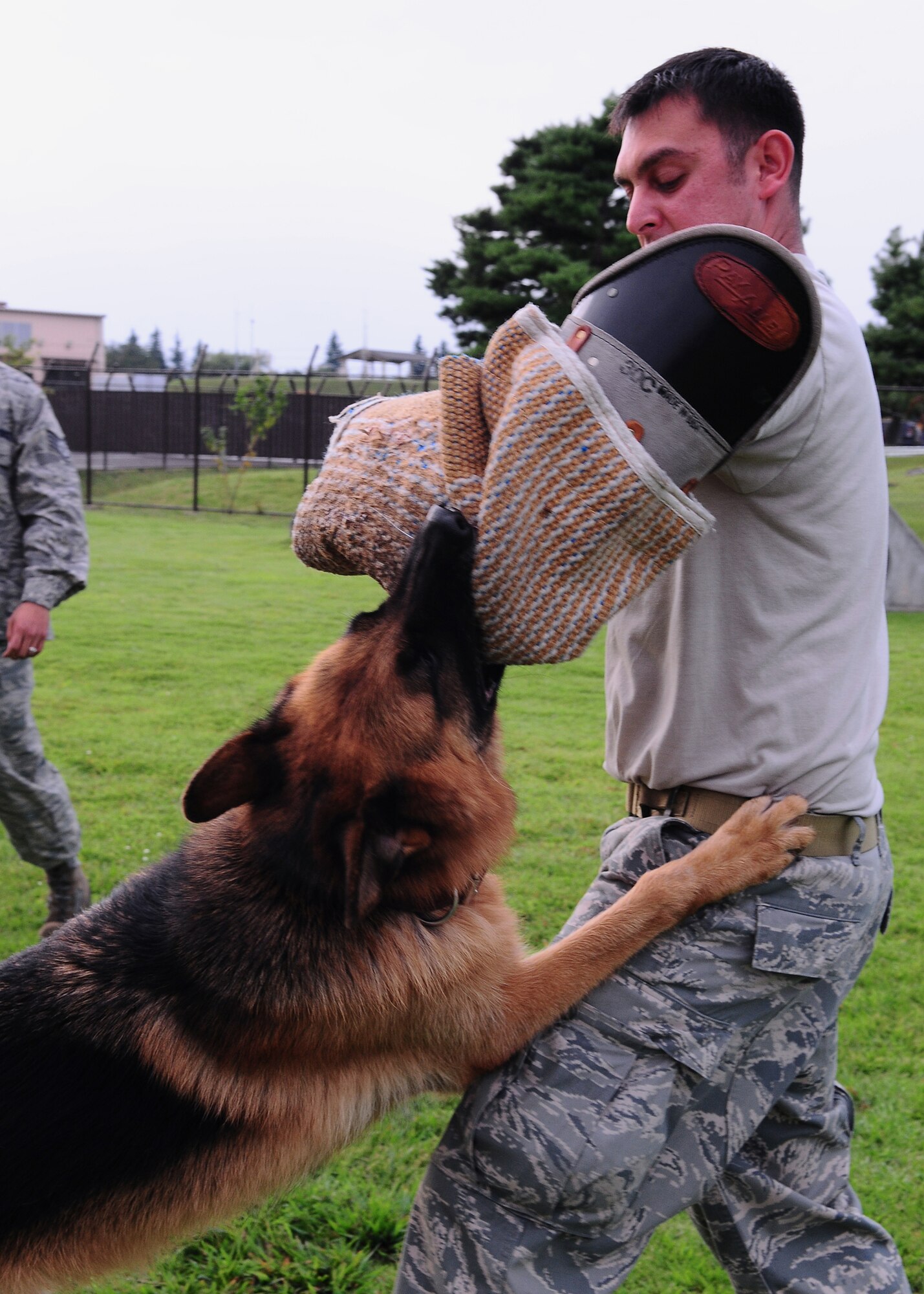 YOKOTA AIR BASE, Japan -- Staff Sgt. Carlos Sanchez, 374th Security Forces Squadron Military Working Dog handler, works with Fedor on his bite and release technique during aggression training recently. Handlers and their MWDs train constantly to maintain proficiency. The MWD section keeps a constant vigil by patrolling the base and providing drug and explosives' detection capabilities. (U.S. Air Force photo/Airman 1st Class Michael Dillon) 
