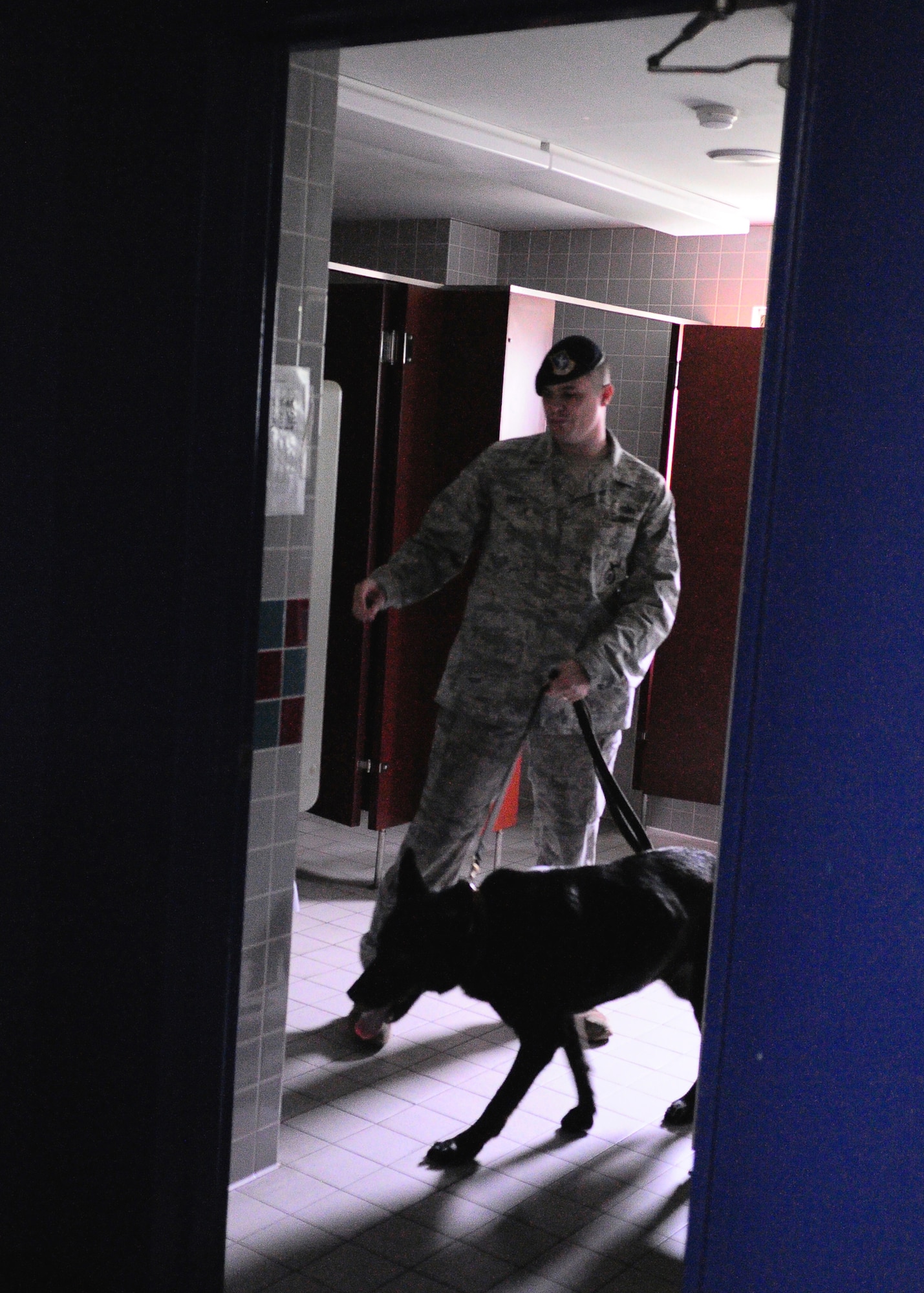 YOKOTA AIR BASE, Japan -- Staff Sgt. Zachary Burtt, 374th Security Forces Squadron Military Working Dog handler, and Nero train at the base theater recently. Handlers and their MWDs train constantly to maintain proficiency. The MWD section keeps a constant vigil by patrolling the base and providing drug and explosives' detection capabilities. (U.S. Air Force photo/Airman 1st Class Michael Dillon) 
