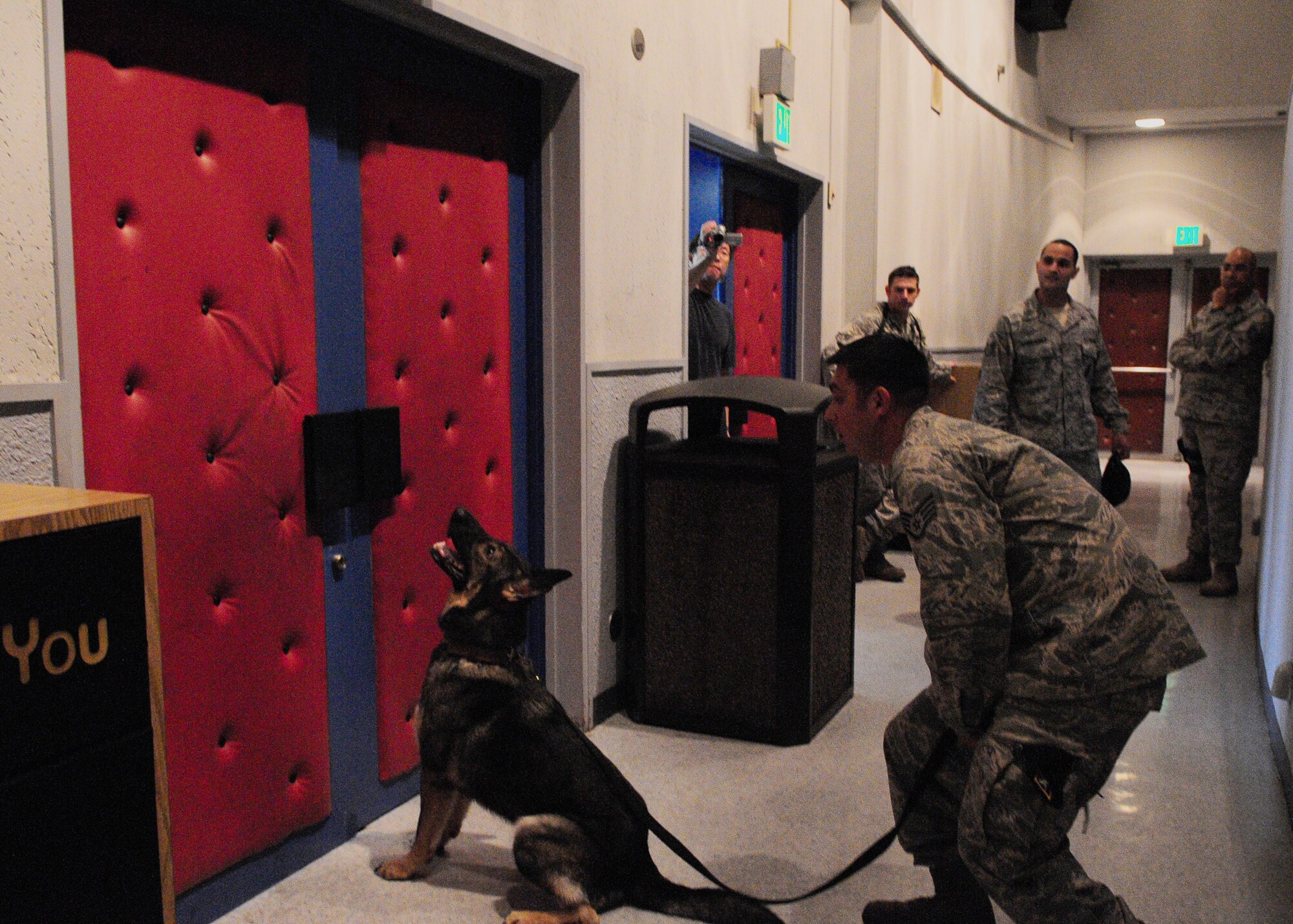 YOKOTA AIR BASE, Japan -- Staff Sgt. Carlos Sanchez, 374th Security Forces Squadron Military Working Dog handler, and Pixi train on explosives detection at the base theater recently. Handlers and their MWDs train constantly to maintain proficiency. The MWD section keeps a constant vigil by patrolling the base and providing drug and explosives' detection capabilities. (U.S. Air Force photo/Airman 1st Class Michael Dillon) 
