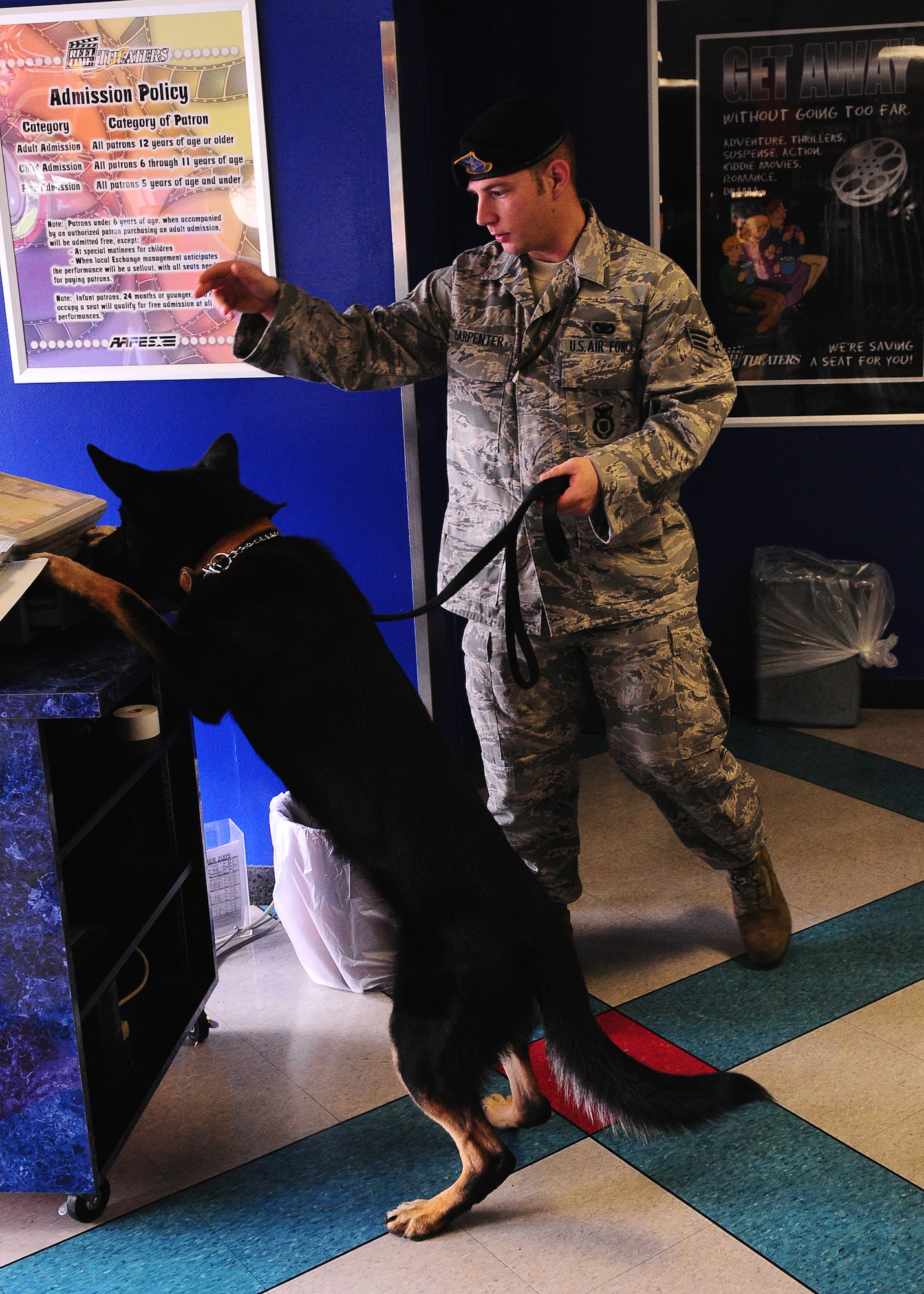 YOKOTA AIR BASE, Japan -- Senior Airman Justin Carpenter, 374th Security Forces Squadron Military Working Dog handler, and Arco search the base movie theater for a sample explosive during explosives detection training recently. Handlers and their MWDs train constantly to maintain proficiency. The MWD section keeps a constant vigil by patrolling the base and providing drug and explosives' detection capabilities. (U.S. Air Force photo/Airman 1st Class Michael Dillon) 
